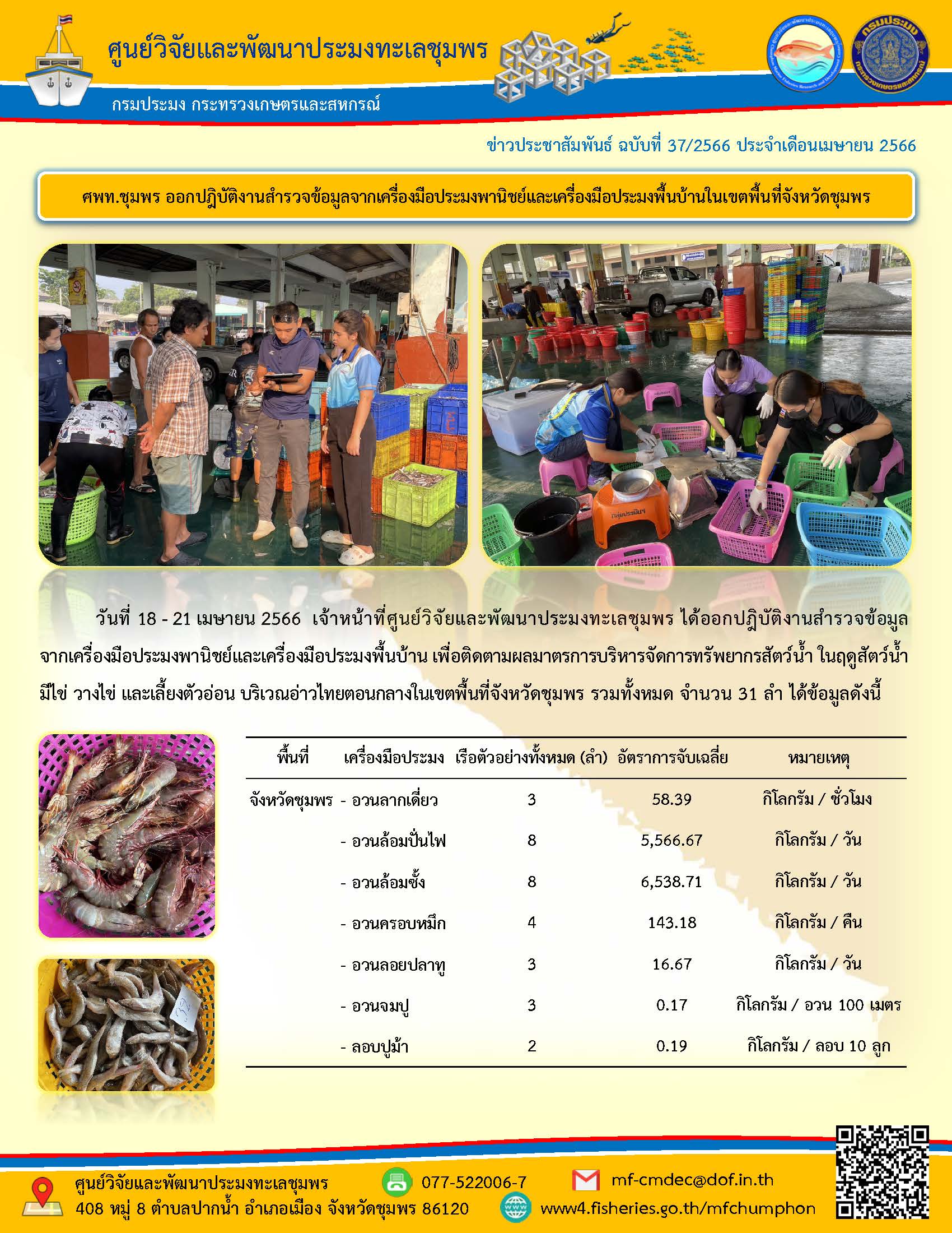 วันที่ 18 – 21 เมษายน 2566 เจ้าหน้าที่ศูนย์วิจัยและพัฒนาประมงทะเลชุมพร ได้ออกปฏิบัติงานสำรวจข้อมูลจากเครื่องมือประมงพาณิชย์และเครื่องมือประมงพื้นบ้าน เพื่อติดตามผลมาตรการบริหารจัดการทรัพยากรสัตว์น้ำ ในฤดูสัตว์น้ำมีไข่ วางไข่ และเลี้ยงตัวอ่อน บริเวณอ่าวไทยตอนกลางในเขตพื้นที่จังหวัดชุมพร รวมทั้งหมด จำนวน 31 ลำ ได้ข้อมูลดังนี้..คลิก