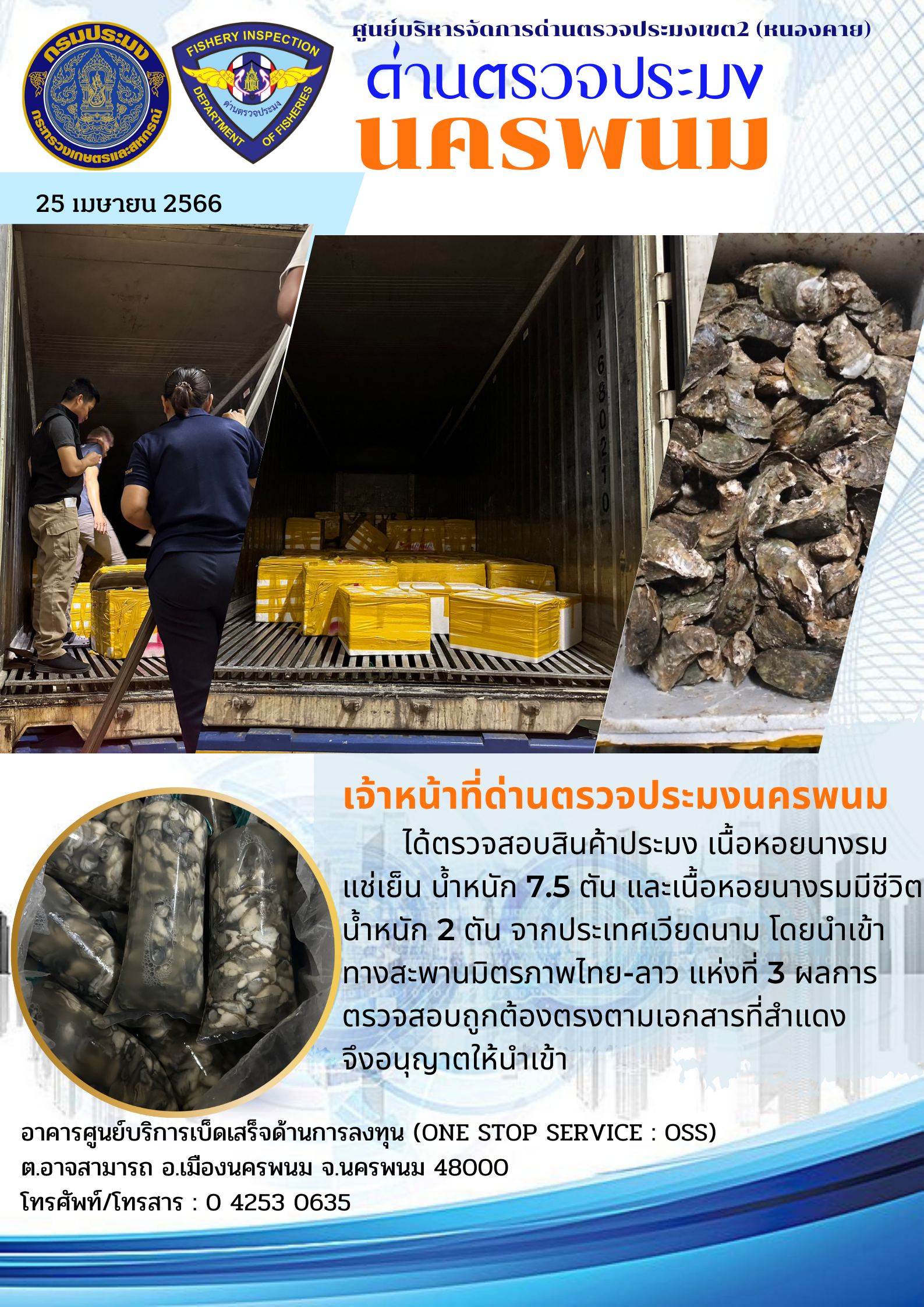 ข่าวกิจกรรมการดำเนินงาน : วันที่ 25 เมษายน 2566 เจ้าหน้าที่ด่านตรวจประมงนครพนม ได้ตรวจสอบสินค้าประมง เนื้อหอยนางรม แช่เย็น น้ำหนัก 7.5 ตัน และเนื้อหอยนางรมมีชีวิต น้ำหนัก 2 ตัน จากประเทศเวียดนาม