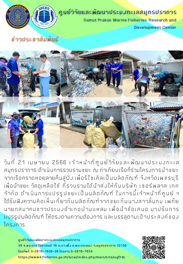 เจ้าหน้าที่ศูนย์วิจัยและพัฒนาประมงทะเลสมุทรปราการ ดำเนินการรวบรวมขยะ ณ ท่าเทียบเรือที่ร่วมโครงการนำขยะจากเรือคราดหอยลายคืนสู่ฝั่ง เพื่อรีไซเคิลเป็นผลิตภัณฑ์ จังหวัดเพชรบุรี..คลิก