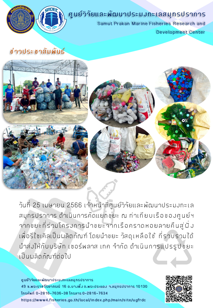 วันที่ 25 เมษายน 2566 เจ้าหน้าที่ศูนย์วิจัยและพัฒนาประมงทะเลสมุทรปราการ ดำเนินการคัดแยกขยะ ณ ท่าเทียบเรือของศูนย์ฯจากขยะที่ร่วมโครงการนำขยะจากเรือคราดกอยลายคืนสู่ฝั่งเพื่อรีไซเคิลเป็นผลิตภัณฑ์ โดยนำขยะ วัสดุเหลือใช้ ที่รวบรวมได้นำส่งให้กับบริษัท เซอร์พลาส เทค จำกัด ดำเนินการแปรรูปขยะเป็นผลิตภัณฑ์ต่อไป..คลิก