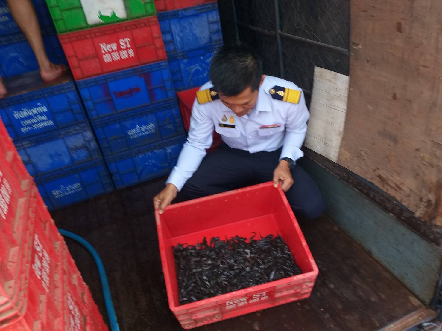 ตรวจสอบลูกพันธุ์สัตว์น้ำ ส่งออกไปยัง สปป.ลาว..คลิก