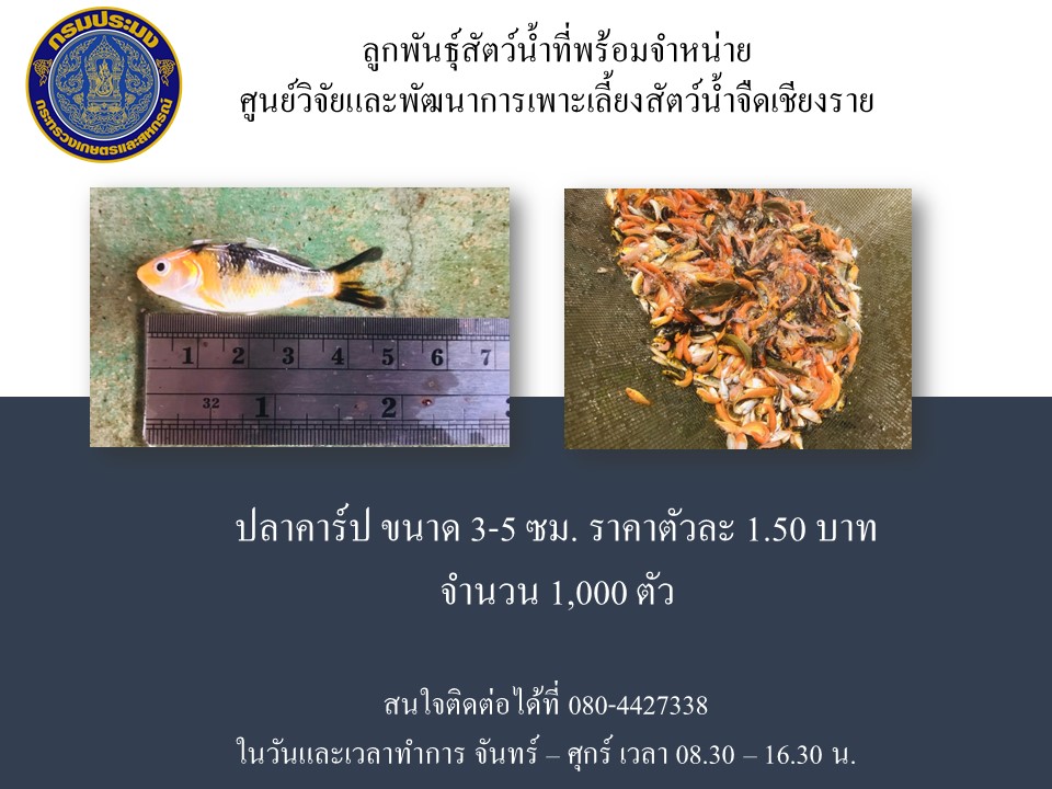 ข่าวประชาสัมพันธ์ประจำเดือนเมษายน พ.ศ.2566 ฉบับที่ 21/2566..คลิก