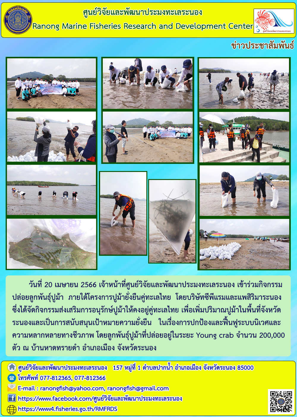 เจ้าหน้าที่ศูนย์วิจัยและพัฒนาประมงทะเลระนอง เข้าร่วมกิจกรรมปล่อยลูกพันธุ์ปูม้า ภายใต้โครงการปูม้ายั่งยืนคู่ทะเลไทย โดยบริษัทซีพีแรมและแพสิริมาระนอง..คลิก