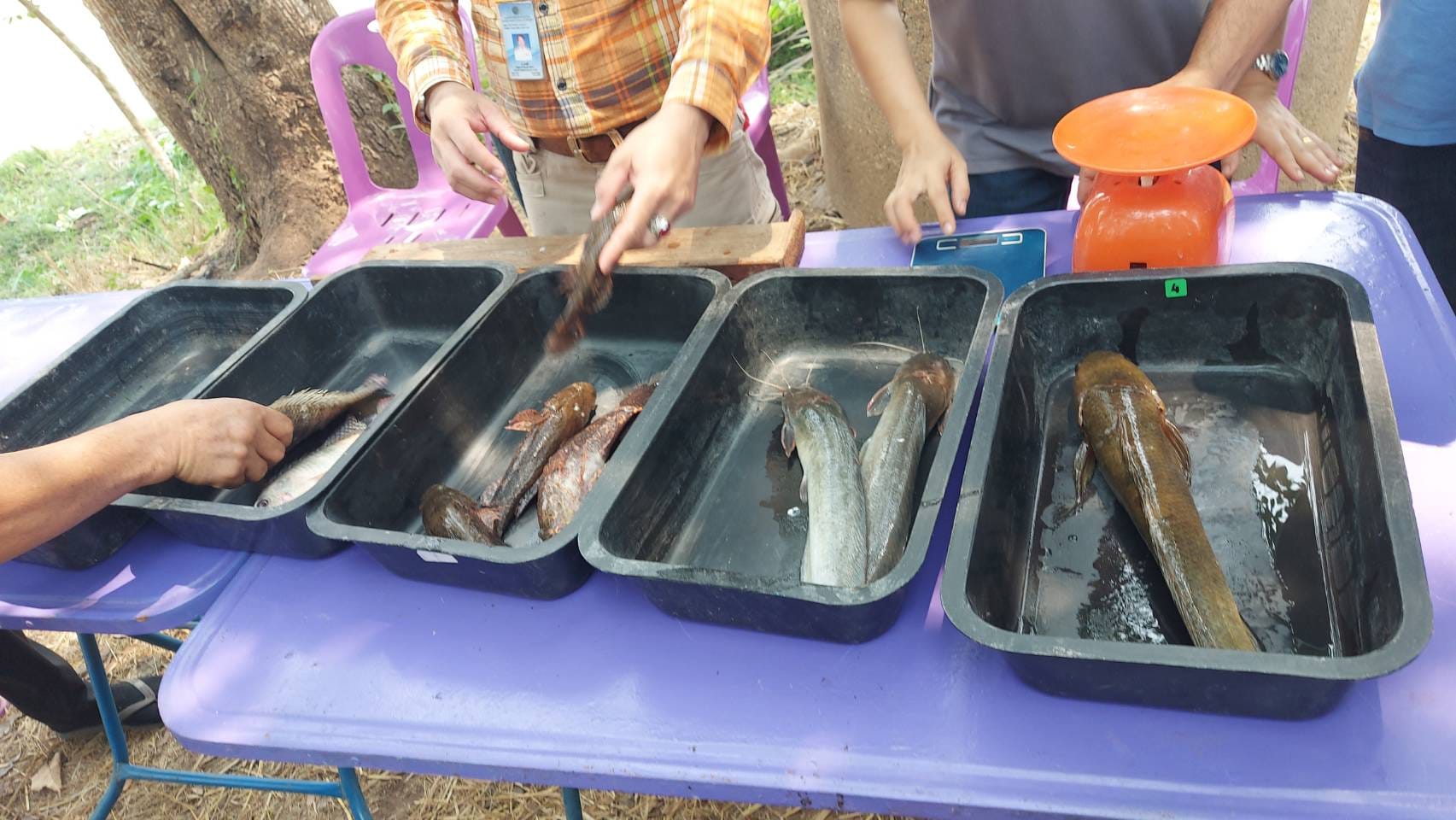 โครงการธนาคารสินค้าเกษตร (กิจกรรมสนับสนุนผลผลิตสัตว์น้ำแบบมีส่วนร่วม)ปี2566..คลิก