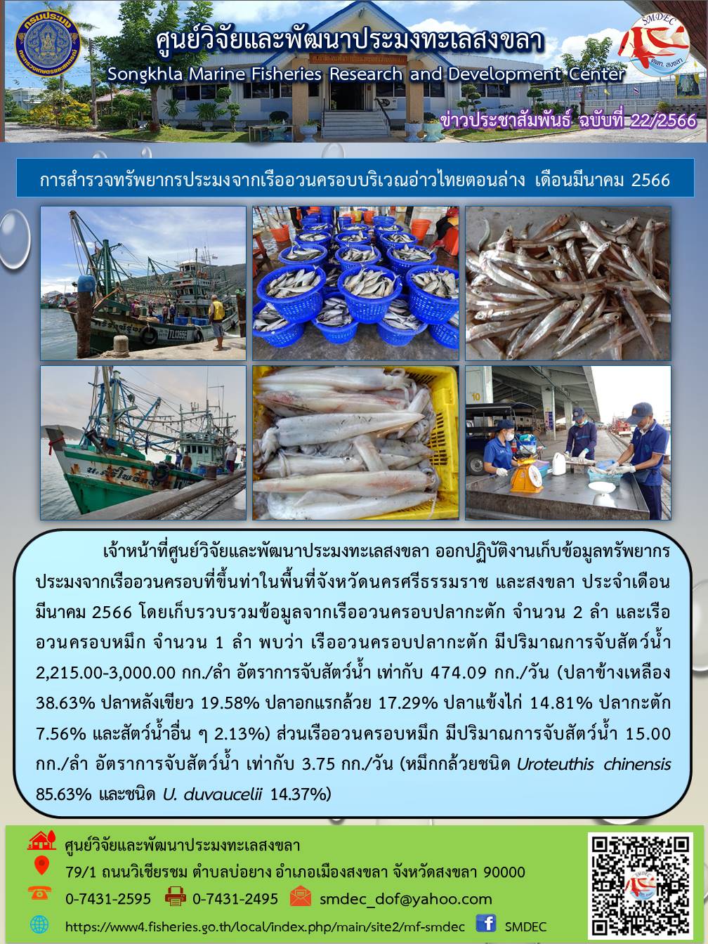 เจ้าหน้าที่ศูนย์วิจัยและพัฒนาประมงทะเลสงขลา ออกปฏิบัติงานเก็บข้อมูลทรัพยากรประมงจากเรืออวนครอบที่ขึ้นท่าในพื้นที่จังหวัดนครศรีธรรมราช และสงขลา ประจำเดือนมีนาคม 2566 โดยเก็บรวบรวมข้อมูลเรืออวนครอบปลากะตัก จำนวน 2 ลำ และเรืออวนครอบหมึก จำนวน 1 ลำ พบว่า เรืออวนครอบปลากะตัก มีปริมาณการจับสัตว์น้ำ 2,215.00-3,000.00 กก./ลำ อัตราการจับสัตว์น้ำ ท่ากับ 474.09 กก./วัน (ปลาข้างเหลือง 38.63% ปลาหลังเขียว 19.58% ปลาอกแรกกล้วย 17.29% ปลาแข้งไก่ 14.81% ปลากะตัก 7.56% และสัตว์น้ำอื่น ๆ 2.13%) ส่วนเรืออวนครอบหมึก มีปริมาณการจับสัตว์น้ำ 15.00 กก./ลำ อัตราการจับสัตว์น้ำ เท่ากับ 3.75 กก./วัน (หมึกกล้วยชนิด Uroteuthis chinensis 85.63% และชนิด U. duvaucelii 14.37%)..คลิก