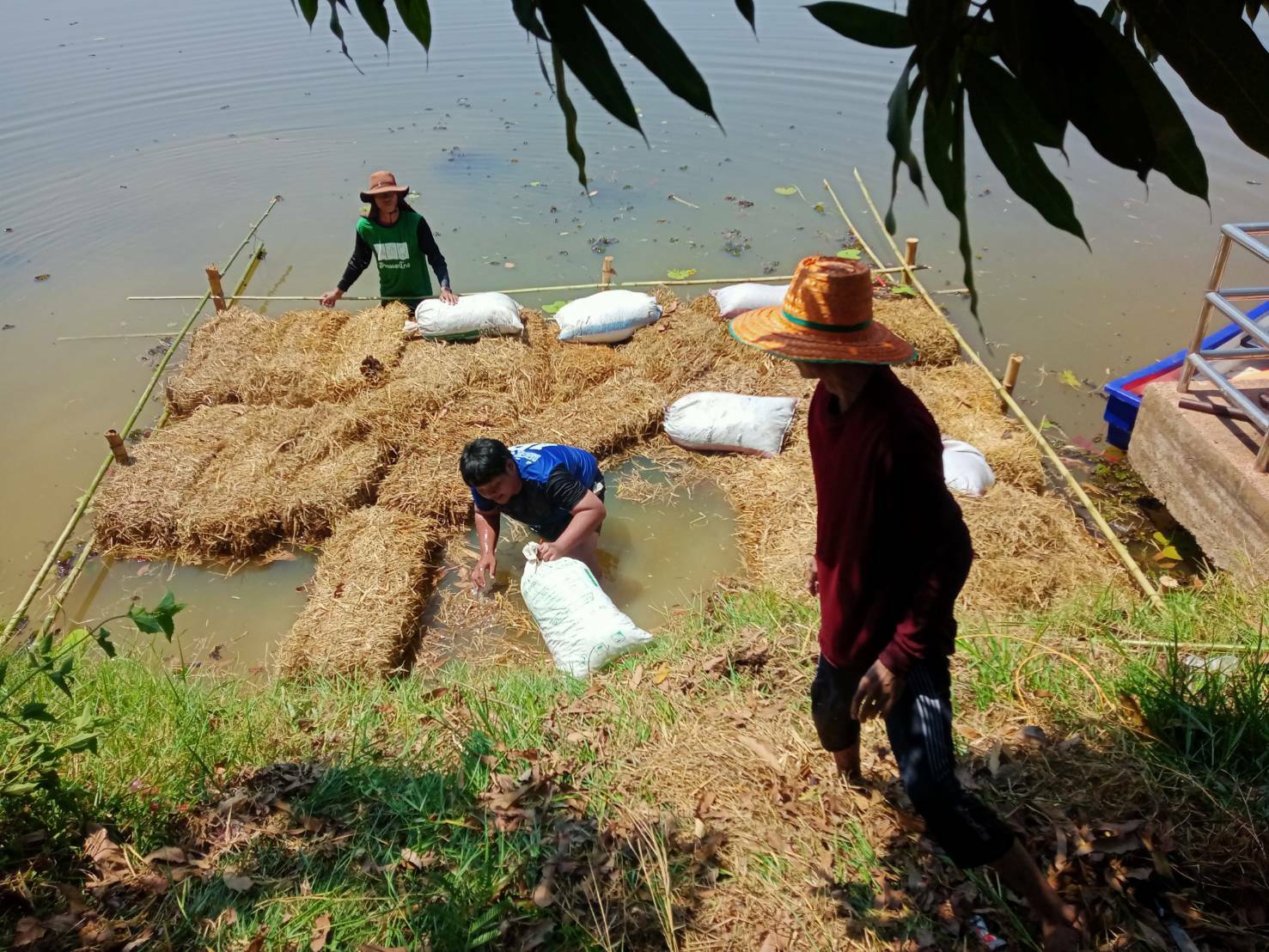 ร่วมดำเนินการสร้างอาหารธรรมชาติในแหล่งน้ำ และสร้างแหล่งอาศัยหลบซ่อนของสัตว์น้ำ