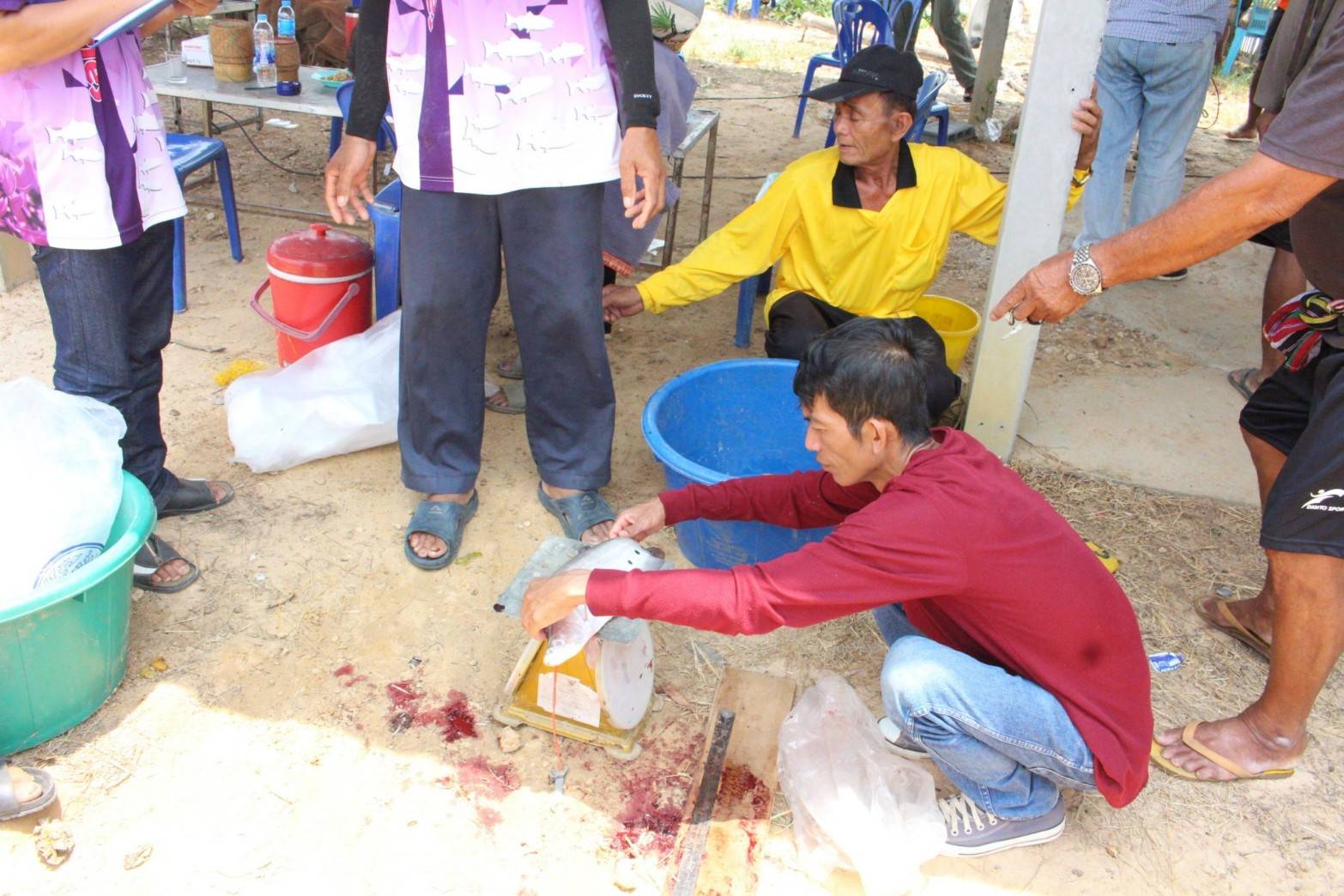 ร่วมประเมินผลจับสัตว์น้ำและมูลค่าสัตว์น้ำจืดที่จับใช้ประโยชน์..คลิก