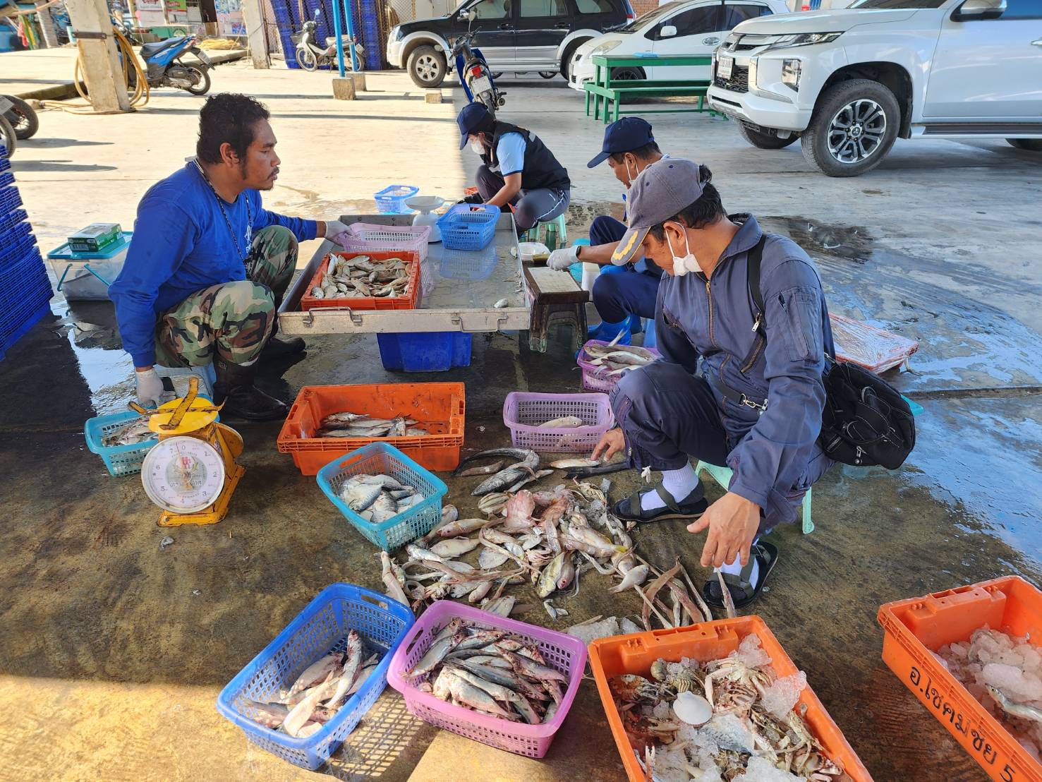   เจ้าหน้าที่ศูนย์วิจัยและพัฒนาประมงทะเลสงขลา ออกปฏิบัติงานเก็บรวบรวมข้อมูลทรัพยากรประมงจากเรืออวนลากที่ขึ้นท่าในพื้นที่จังหวัดนครศรีธรรมราช และสงขลา ประจำเดือนมีนาคม 2566..คลิก