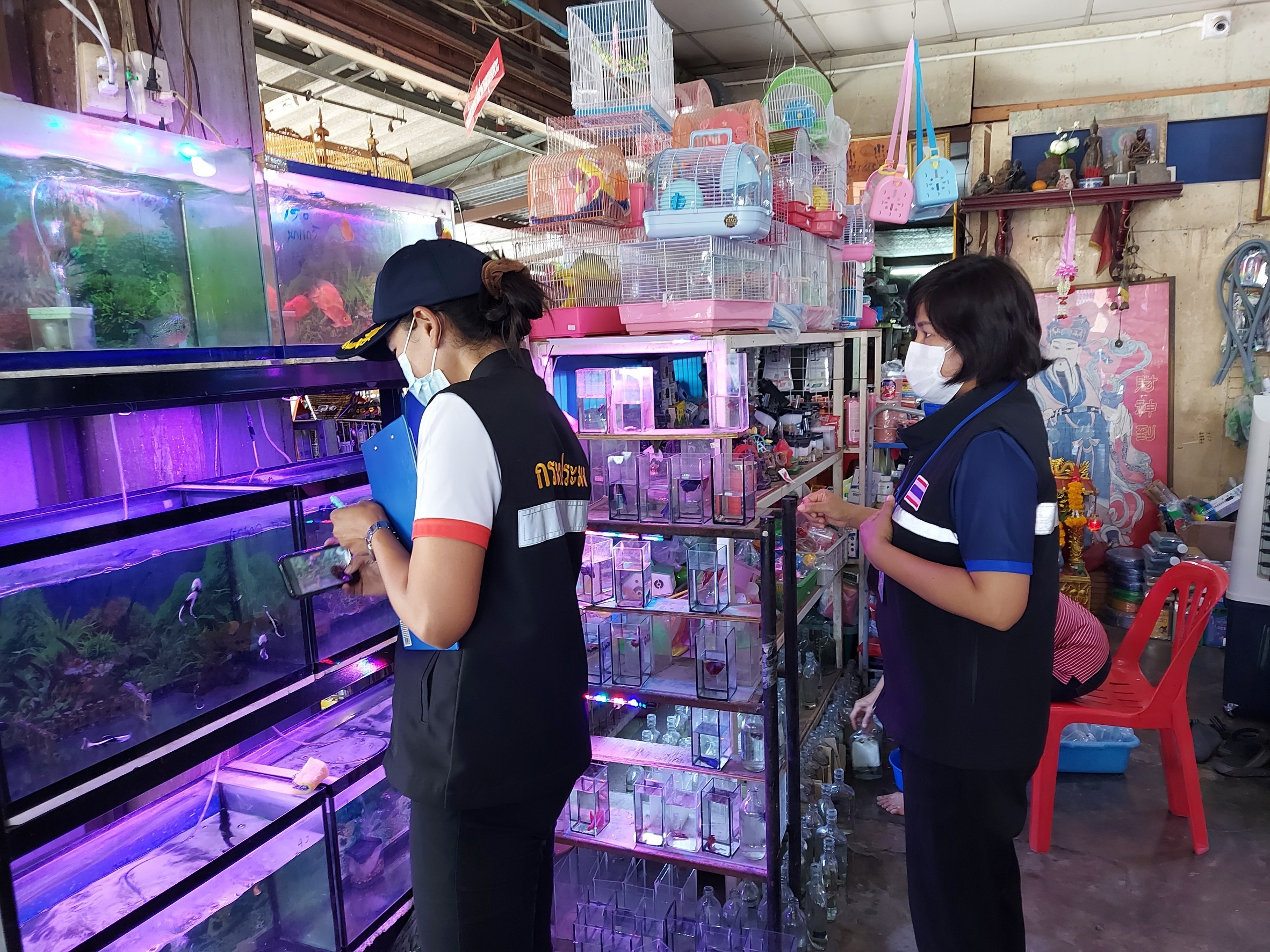 ประชาสัมพันธ์การควบคุมและบังคับใช้กฎหมาย มาตรา 64 และ 65 ห้ามครอบครองสัตว์น้ำ 3 ชนิด และ ห้ามนำเข้า นำออก นำผ่าน เพาะเลี้ยงสัตว์น้ำ 13 ชนิด..คลิก