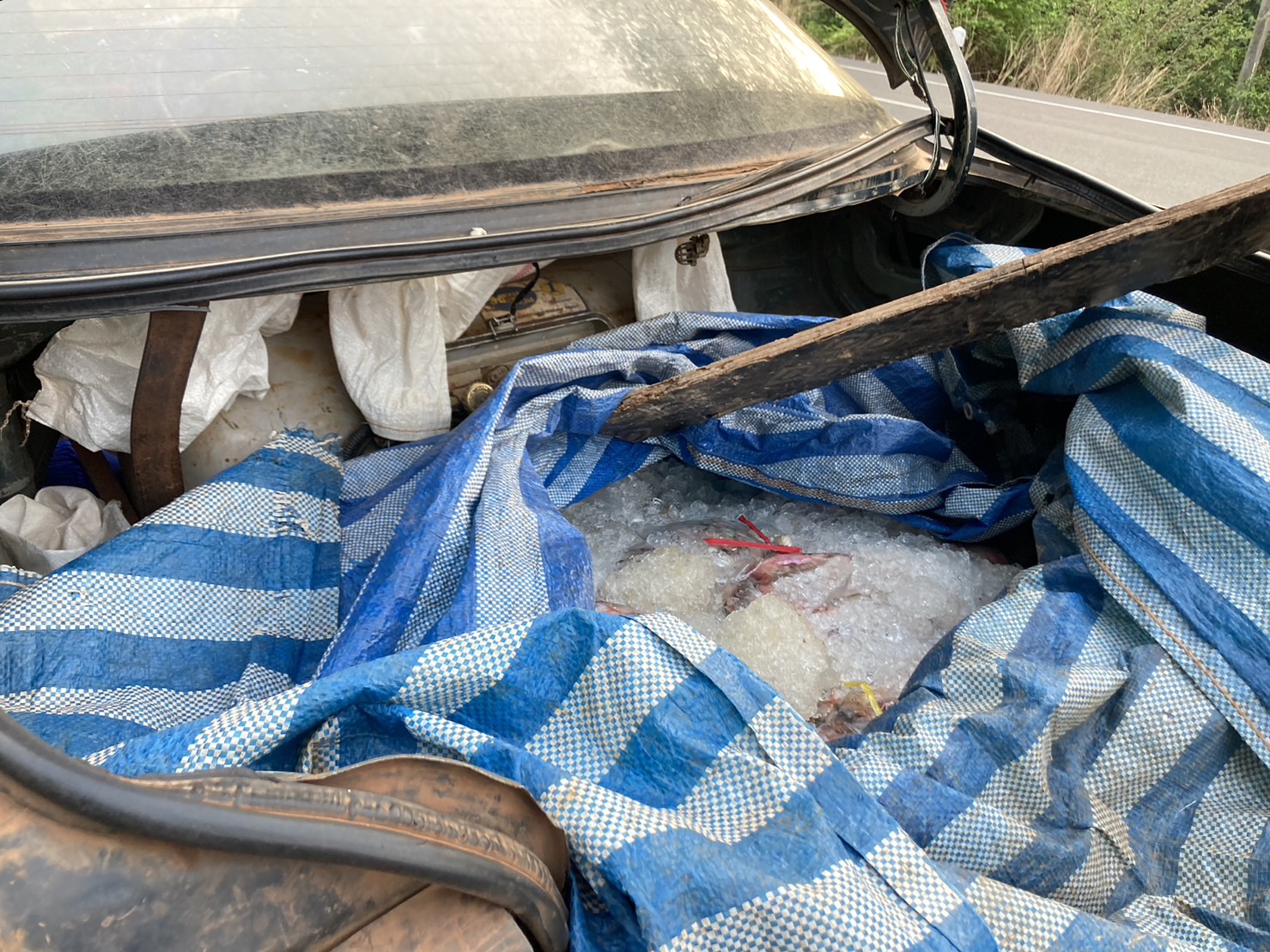 ผลการปฏิบัติงานด่านตรวจประมงสุรินทร์ วันที 29 เมษายน พ.ศ.2566..คลิก