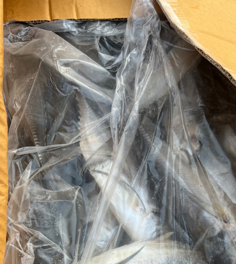 ผลการปฏิบัติงานด่านตรวจประมงสุรินทร์ วันที่ 30 เมษายน พ.ศ.2566 ณ จุดผ่านแดนถาวรช่องสะงำ..คลิก