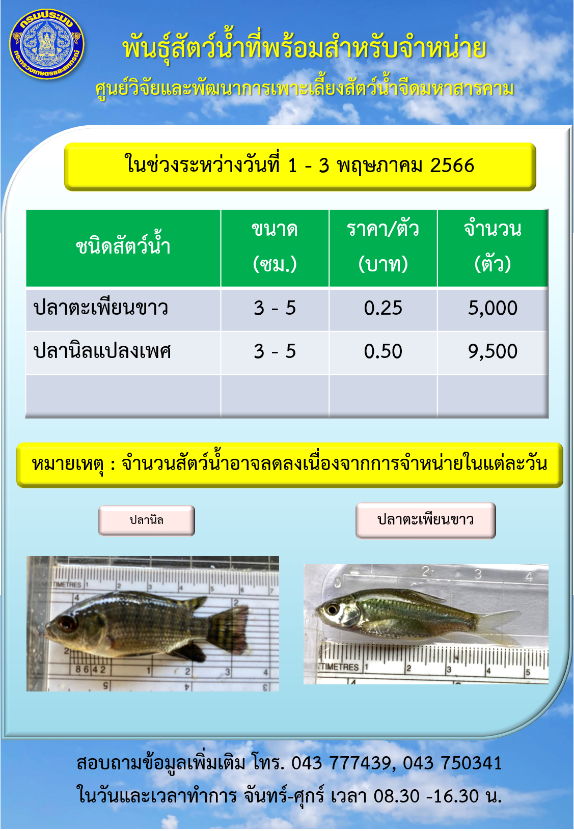 พันธุ์สัตว์น้ำที่พร้อมสำหรับจำหน่าย ระหว่างวันที่ 1 - 3 พฤษภาคม 2565..คลิก