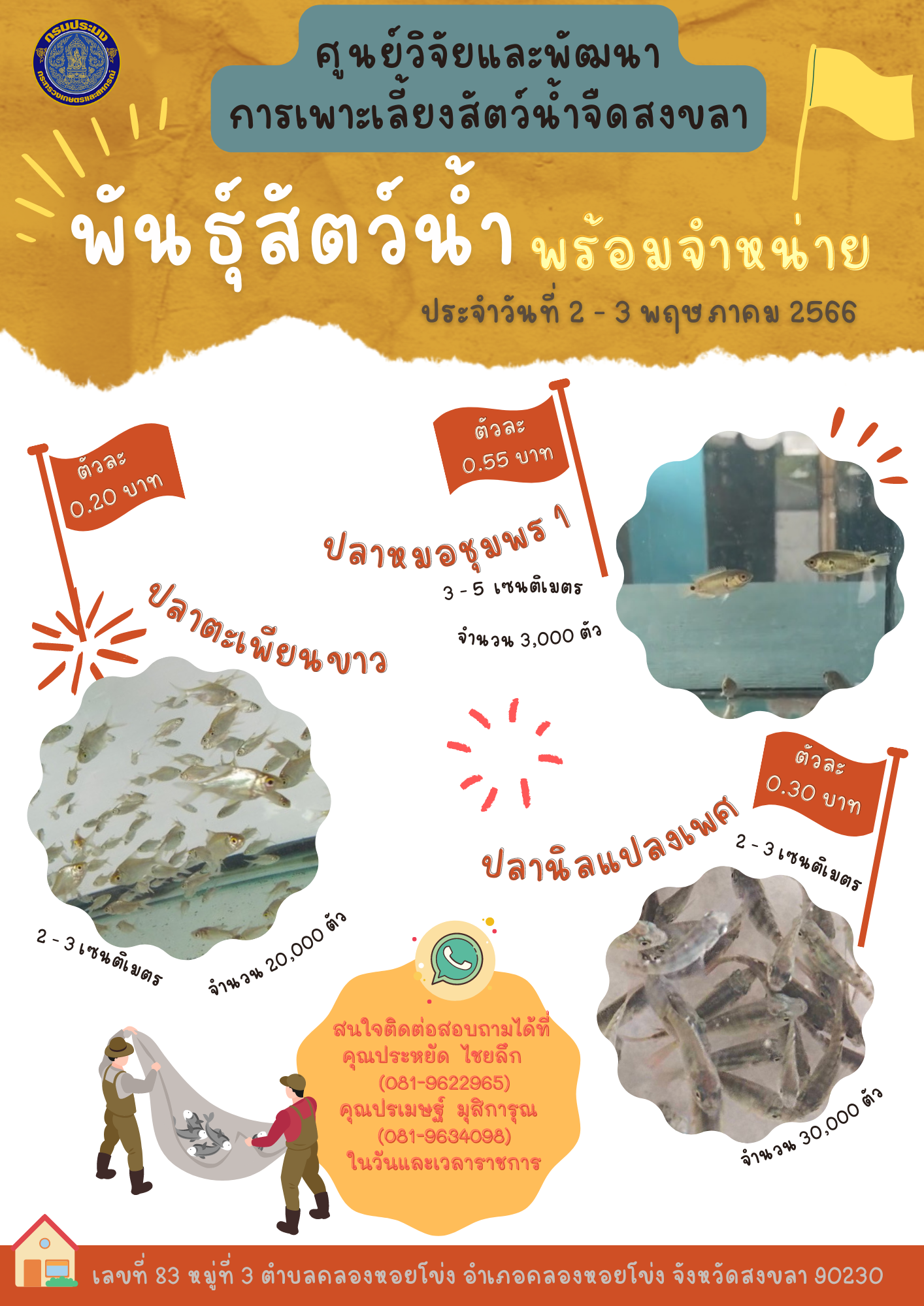 พันธุ์สัตว์น้ำพร้อมจำหน่าย