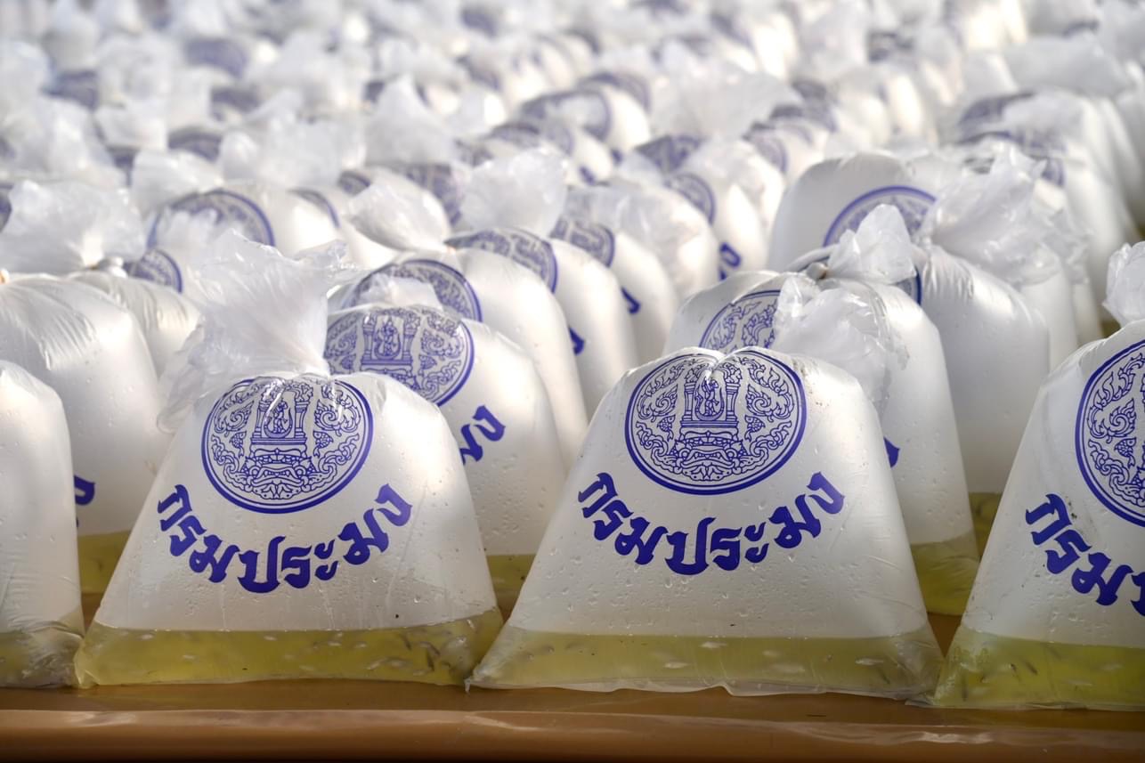 การเตรียมงานเพื่อปล่อยพันธุ์สัตว์น้ำ ๗๗ จังหวัด ประจำปี ๒๕๖๖   ๑. สำเนาหนังสือกองโครงการอันเนื่องมาจากพระราชดำริและกิจกรรมพิเศษ  ๐๕๐๖.๓/๕๕๗ ลงวันที่ ๒๒ มีนาคม ๒๕๖๖ จำนวน ๑ ฉบับ ๒. แบบฟอร์มสรุปผลการดำเนินงานกิจกรรมปล่อยพันธุ์สัตว์น้ำ