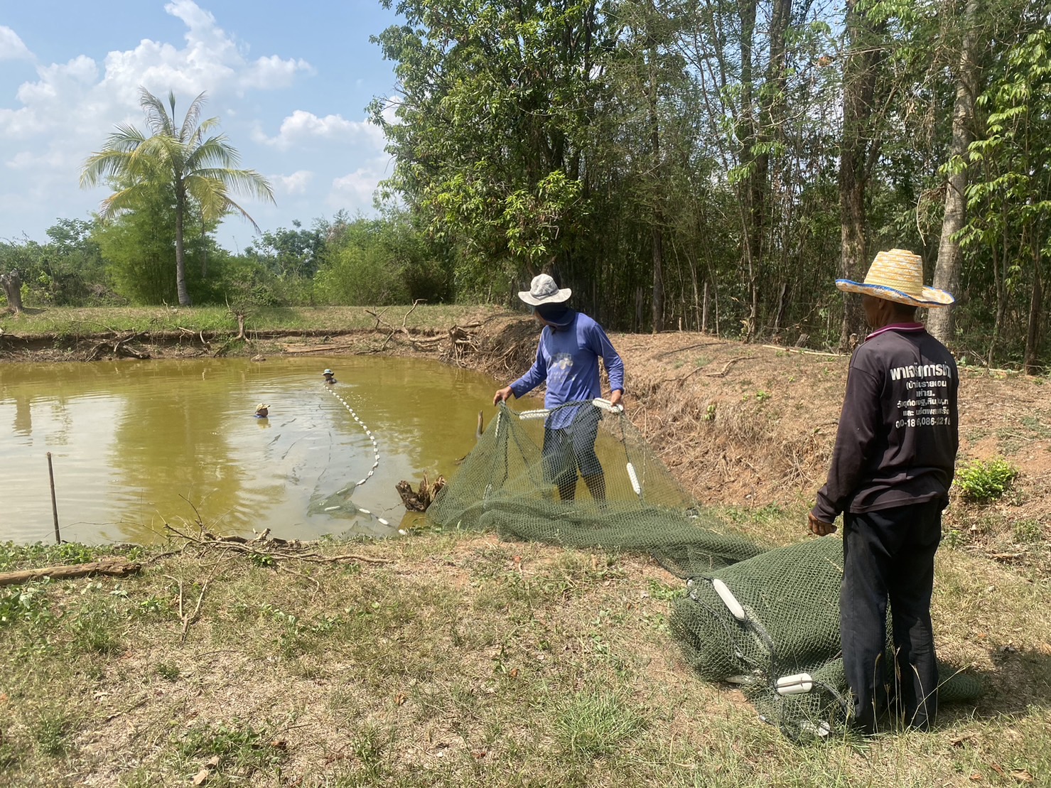 วันที่ 2 พฤษภาคม 2566  นายบุญหลาย กุลนารัตน์ ประมงจังหวัดหนองบัวลำภู มอบหมายให้นายไพศาล ศรีคูณ นักวิชาการประมง ปฏิบัติงานติดตามการดำเนินกิจกรรมจำหน่ายผลผลิต และกิจกรรมการเพาะพันธุ์ปลาตะเพียนด้วยชุดเพาะพันธุ์ปลาเคลื่อนที่ ของกลุ่มเกษตรอินทรีย์ตำบลหนองหว้า อำเภอเมืองหนองบัวลำภู..คลิก