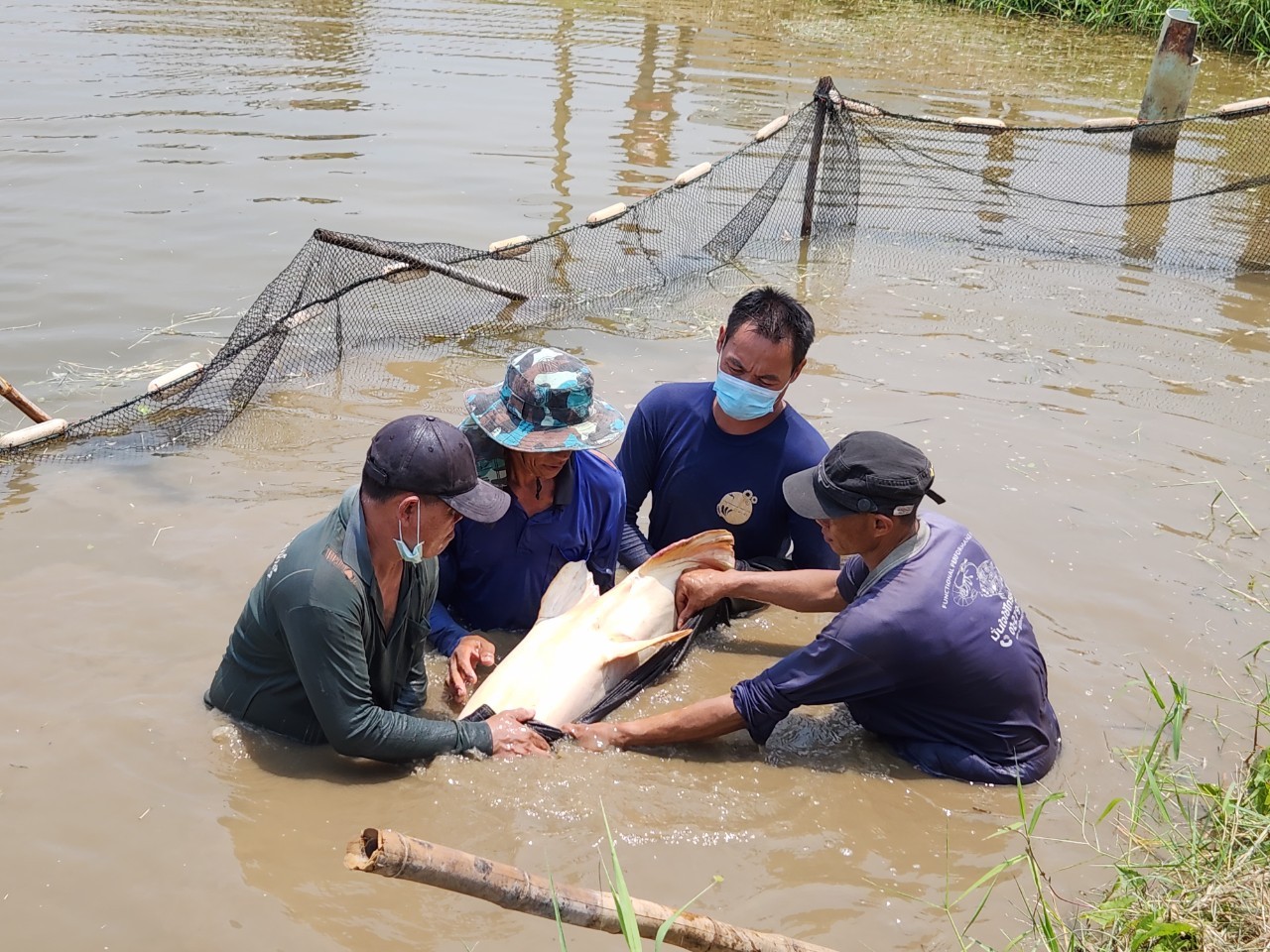 ต้อนรับ นายประพันธ์ ลีปายะคุณ รองอธิบดีกรมประมง..คลิก
