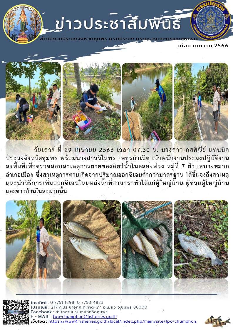 ลงพื้นที่เพื่อตรวจสอบสาเหตุการตายของสัตว์น้ำในคลองพ่วง หมู่ที่ 7 ตำบลบางหมาก อำเภอเมือง จังหวัดชุมพร..คลิก