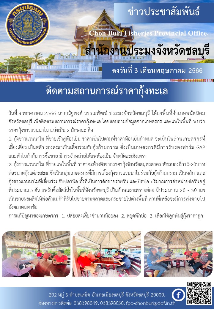 ติดตามสถานการณ์ราคากุ้งทะเล..คลิก