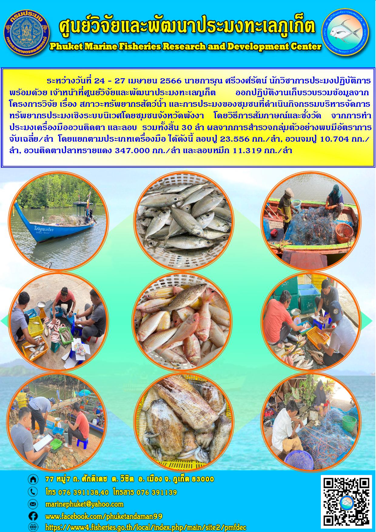 ระหว่างวันที่ 24 – 27 เมษายน 2566 นายการุณ ศรีวงศ์รัตน์ นักวิชาการประมงปฏิบัติการ พร้อมด้วย เจ้าหน้าที่ศูนย์วิจัยและพัฒนาประมงทะเลภูเก็ต ออกปฏิบัติงานเก็บรวบรวมข้อมูลจาก โครงการวิจัย เรื่อง สภาวะทรัพยากรสัตว์น้ำ และการประมงของชุมชนที่ดำเนินกิจกรรมบริหารจัดการทรัพยากรประมงเชิงระบบนิเวศโดยชุมชนจังหวัดพังงา โดยวิธีการสัมภาษณ์และชั่งวัด จากการทำประมงเครื่องมืออวนติดตา และลอบ รวมทั้งสิ้น 30 ลำ ผลจากการสำรวจกลุ่มตัวอย่างพบมีอัตราการจับเฉลี่ย/ลำ โดยแยกประเภทเครื่องมือ ได้ดังนี้ ลอบปู 23.556 กก./ลำ อวนจมปู 10.704 กก./ลำ อวนติดตาปลาทรายแดง 347.000 กก./ลำ และลอบหมึก 11.319 กก.ลำ..คลิก