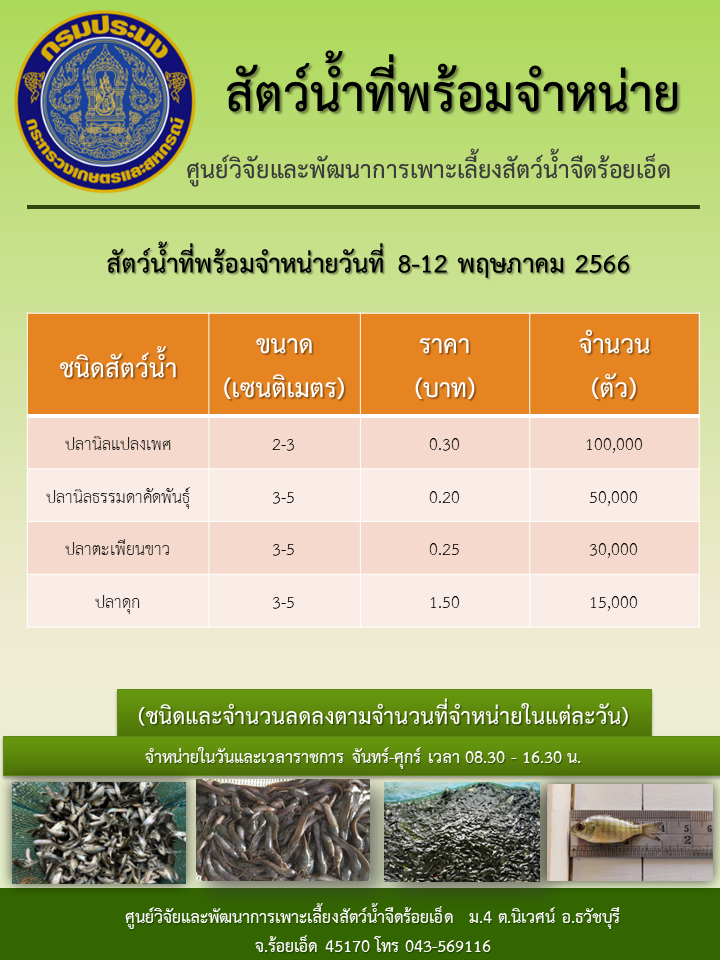 สัตว์น้ำที่พร้อมจำหน่ายวันที่ 8-12 พฤษภาคม 2566..คลิก