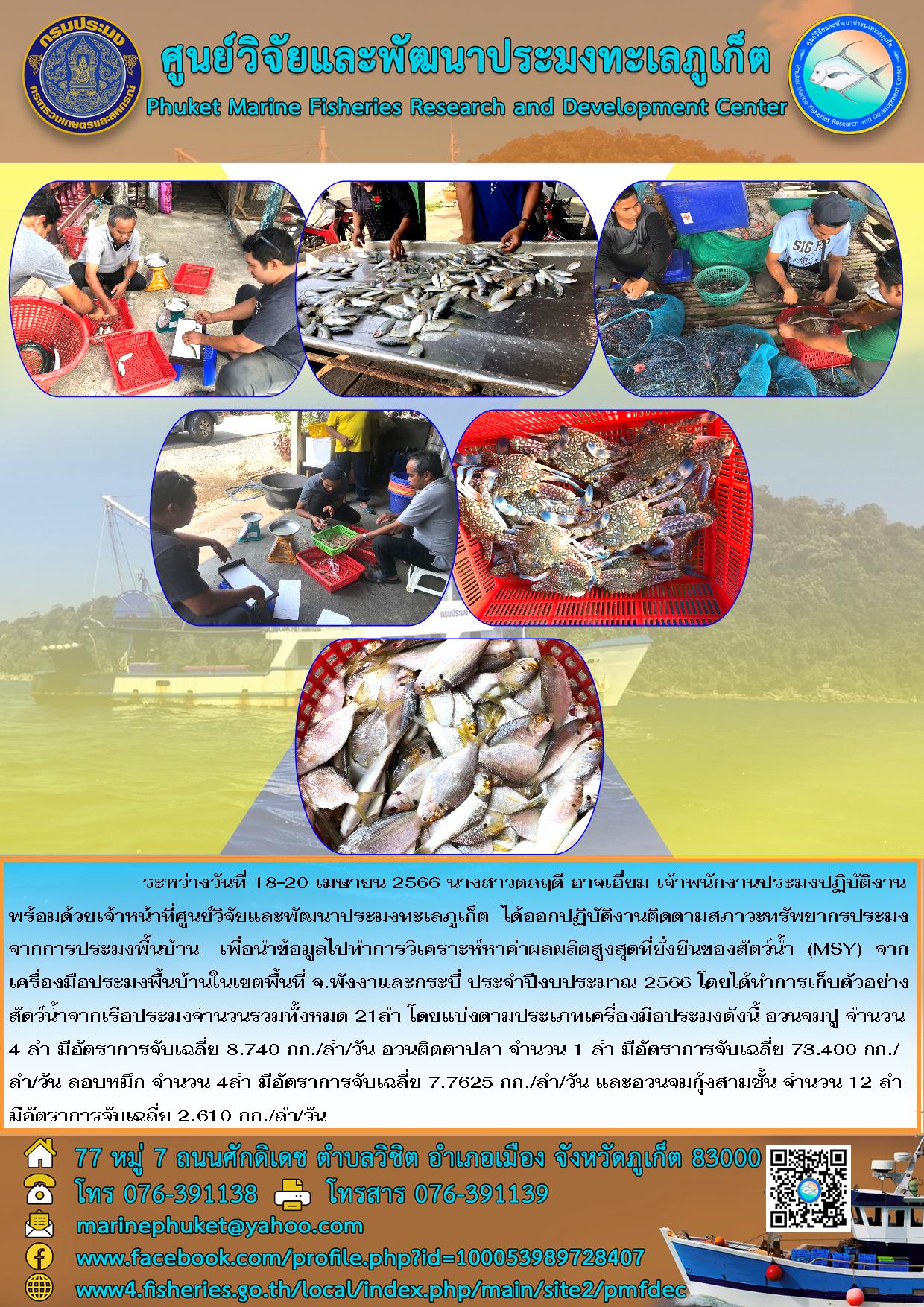 ระหว่างวันที่ 18-20 เมษายน 2566 นางสาวดลฤดี อาจเอี่ยม เจ้าพนักงานประมงปฏิบัติงานพร้อมด้วยเจ้าหน้าที่ศูนย์วิจัยและพัฒนาประมงทะเลภูเก็ต ได้ออกปฏิบัติงานติดตามสภาวะทรัพยากรประมงจากการประมงพื้นบ้าน เพื่อนำข้อมูลไปทำการวิเคราะห์หาค่าผลผลิตสูงสุดที่ยั่งยืนของสัตว์น้ำ (MSY) จากเครื่องมือประมงพื้นบ้านในเขตพื้นบ้านในเขตพื้นที่ จ.พังงาและกระบี่ ประจำปีงบประมาณ 2566 โดยได้ทำการเก็บตัวอย่างสัตว์น้ำจากเรือประมงจำนวนรวมทั้งหมด 21 ลำ โดยแบ่งตามประเภทเครื่องมือประมงดังนี้ อวนจมปู จำนวน 4 ลำ มีอัตราการจับเฉลี่ย 8.740 กก./ลำ/วัน อวนติดตาปลา จำนวน 1 ลำ มีอัตราการจับเฉลี่ย 73.400 กก./ลำ/วัน ลอบหมึก จำนวน 4 ลำ มีอัตราการจับเฉลี่ย 7.7625 กก./ลำ/วัน และอวนจมกุ้งสามชั้น จำนวน 12 ลำ มีอัตราการจับเฉลี่ย 2.610 กก./ลำ/วัน..คลิก