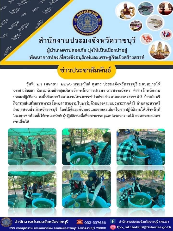 ลงพื้นที่ตรวจติดตามงานโครงการฟาร์มตัวอย่างตามแนวพระราชดำริ บ้านบ่อหวี..คลิก