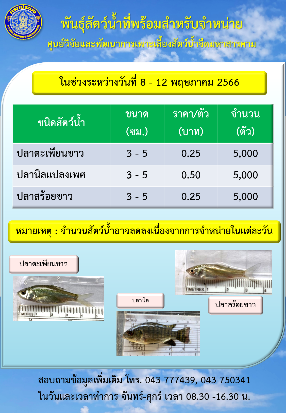 พันธุ์สัตว์น้ำที่พร้อมสำหรับจำหน่าย ระหว่างวันที่ 8 - 12 พฤษภาคม 2565..คลิก