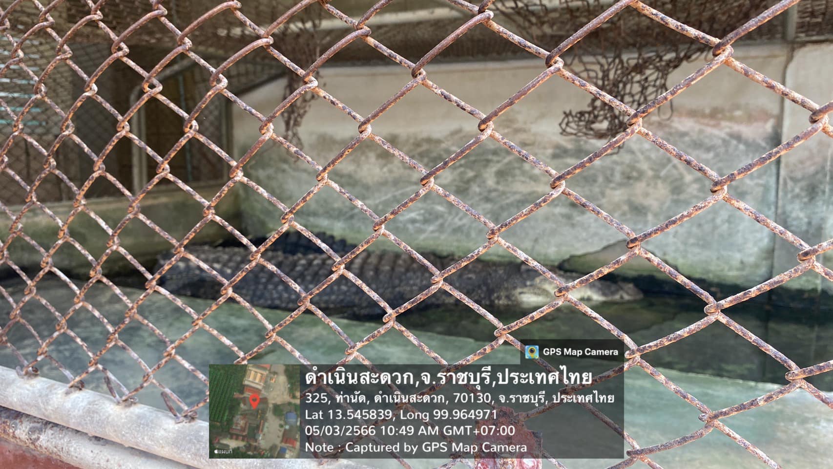 ลงพื้นที่ตรวจฟาร์มเพาะเลี้ยงจระเข้ประจำปีในพื้นที่ อำเภอดำเนินสะดวก..คลิก
