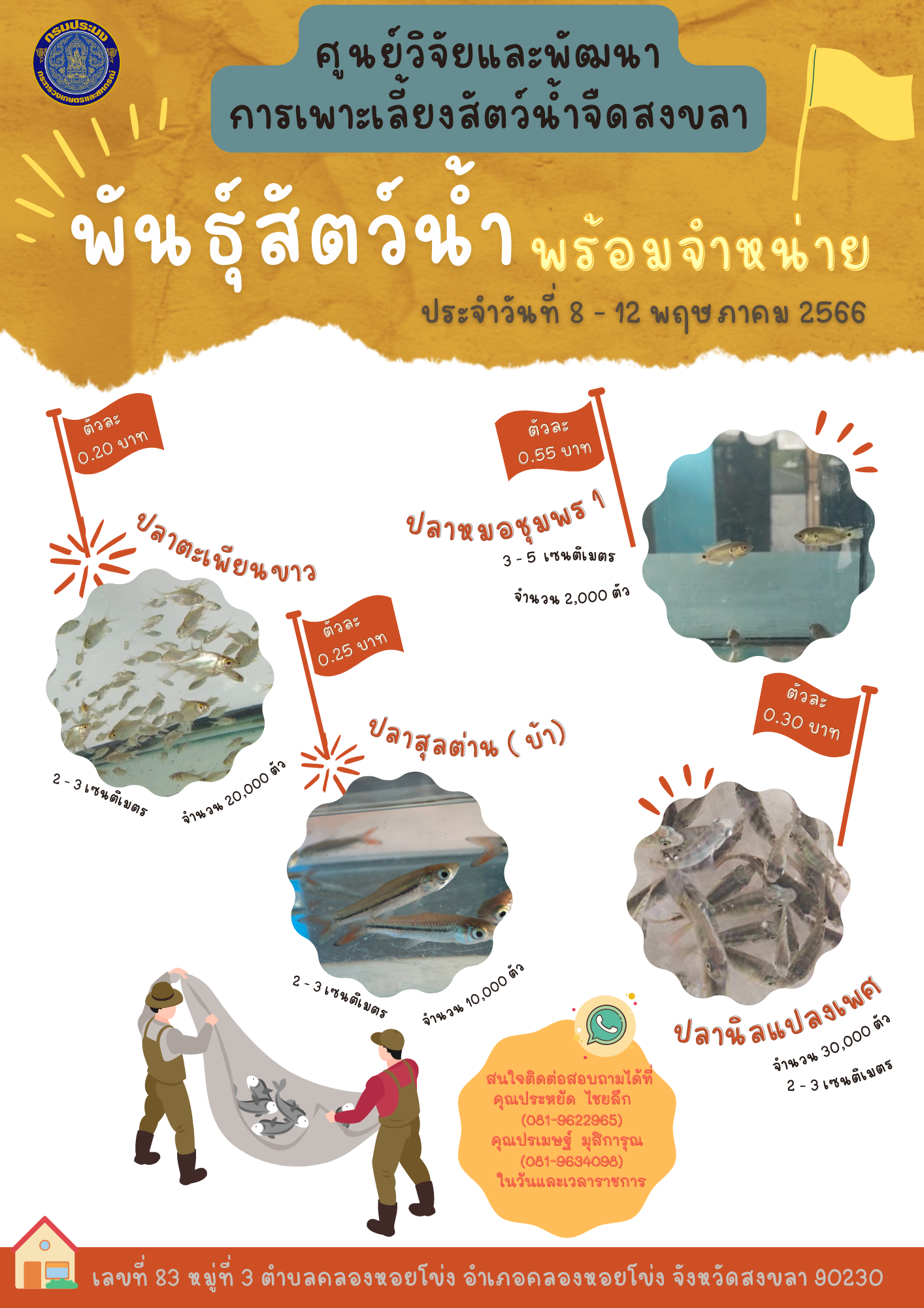 พันธุ์สัตว์น้ำพร้อมจำหน่าย