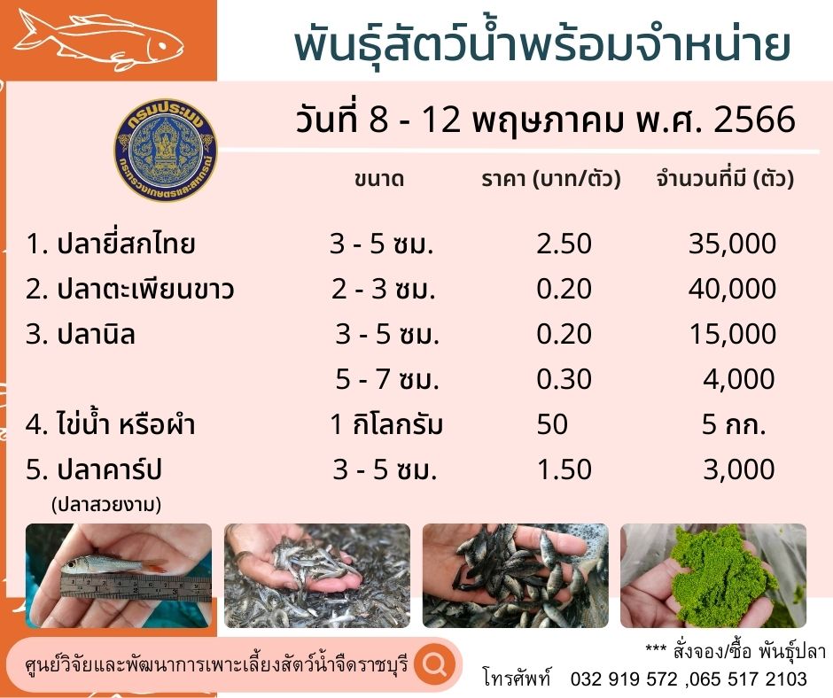 ลูกพันธุ์สัตว์น้ำพร้อมจำหน่าย ประจำวันที่ 8 - 12 พฤษภาคม 2566..คลิก