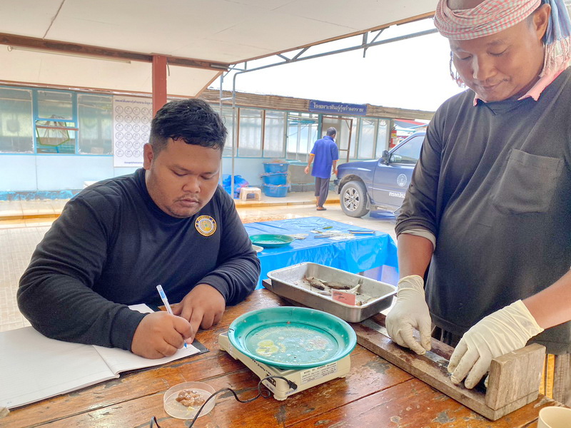 ดำเนินการประเมินสถานภาพทรัพยากรสัตว์น้ำในทะเลน้อย จังหวัดพัทลุง