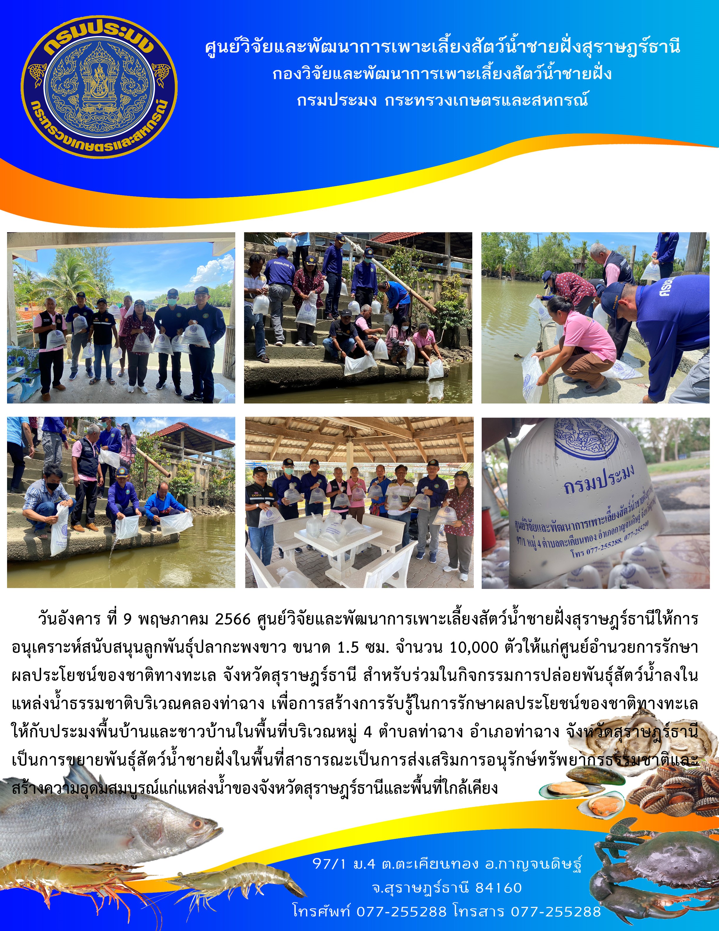 ให้การอนุเคราะห์สนับสนุนลูกพันธุ์ปลากะพงขาว ขนาด 1.5 ซม. จำนวน 10,000 ตัวแก่ศูนย์อำนวยการรักษาผลประโยชน์ของชาติทางทะเล จังหวัดสุราษฎร์ธานี..คลิก