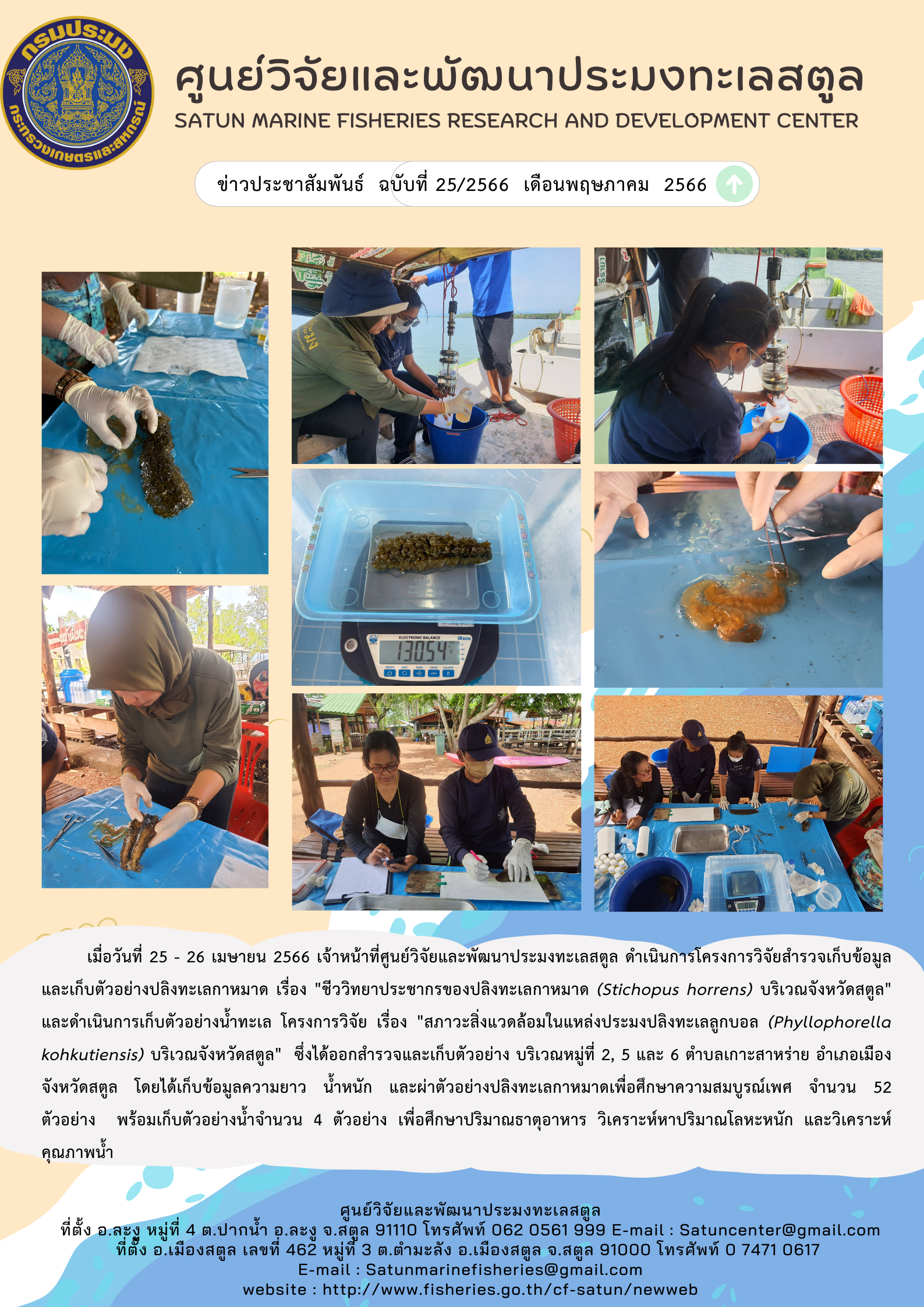 เมื่อวันที่ 25 – 26 เมษายน 2566 เจ้าหน้าที่ศูนย์วิจัยและพัฒนาประมงทะเลสตูล ดำเนินโครงการวิจัยสำรวจเก็บข้อมูลและเก็บตัวอย่างปลิงทะเลกาหมาด เรื่อง “ชีววิทยาประชากรของปลิงทะเลกาหมาด (Stichopus horrens) บริเวณจังหวัดสตูล” และดำเนินการเก็บตัวอย่างน้ำทะเล โครงการวิจัย เรื่อง “สภาวะสิ่งแวดล้อมในแหล่งประมงปลิงทะเลลูกบอล (Phyllophorella kohkutiensis) บริเวณจังหวัดสตูล” ซึ่งได้ออกสำรวจและเก็บตัวอย่าง บริเวณหมู่ที่ 2, 5 และ 6 ตำบลเกาะสาหร่าย อำเภอเมือง  จังหวัดสตูล โดยได้เก็บข้อมูลความยาว น้ำหนัก และผ่าตัวอย่างปลิงทะเลกาหมาดเพื่อศึกษาความสมบูรณ์เพศ จำนวน 52 ตัวอย่าง พร้อมเก็บตัวอย่างน้ำจำนวน 4 ตัวอย่าง เพื่อศึกษาปริมาณธาตุอาหาร วิเคราะห์หาปริมาณโลหะหนัก และวิเคราะห์คุณภาพน้ำ..คลิก