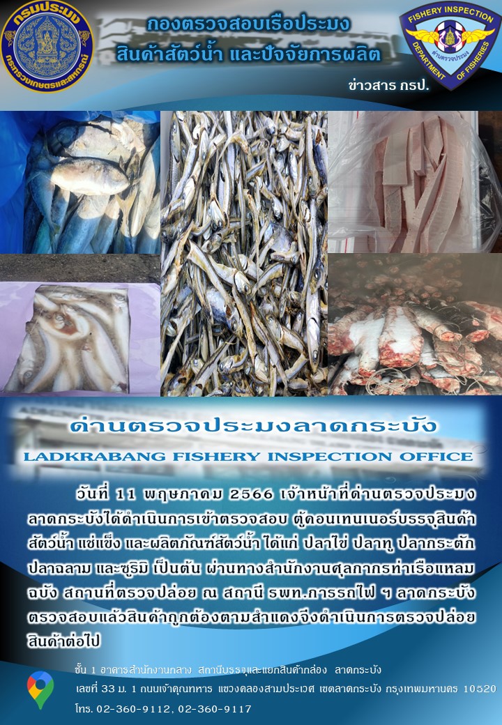 ตรวจสอบสินค้าสัตว์น้ำนำเข้าประจำวันที่ 11 พฤษภาคม 2566..คลิก