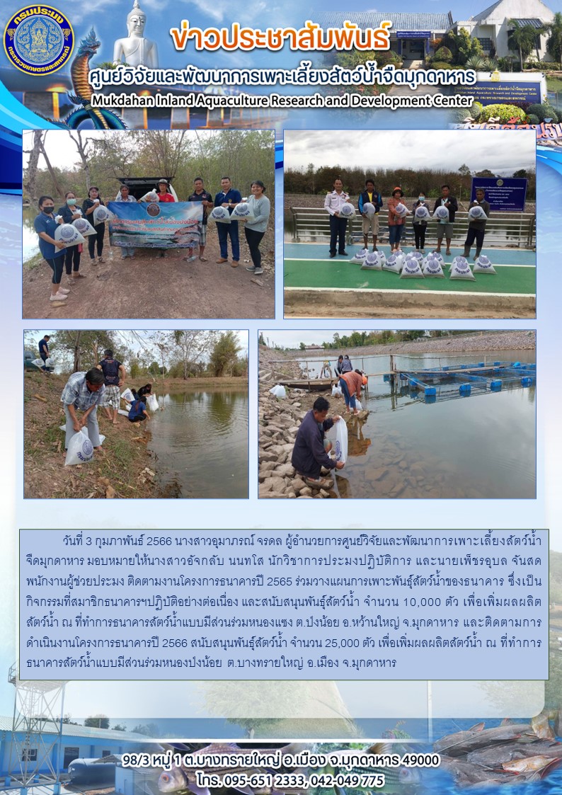 วันที่ 3 กุมภาพันธ์ 2566 ติดตามงานโครงการธนาคารปี 2565 ร่วมวางแผนการเพาะพันธุ์สัตว์น้ำของธนาคารและสนับสนุนพันธุ์สัตว์น้ำ..คลิก