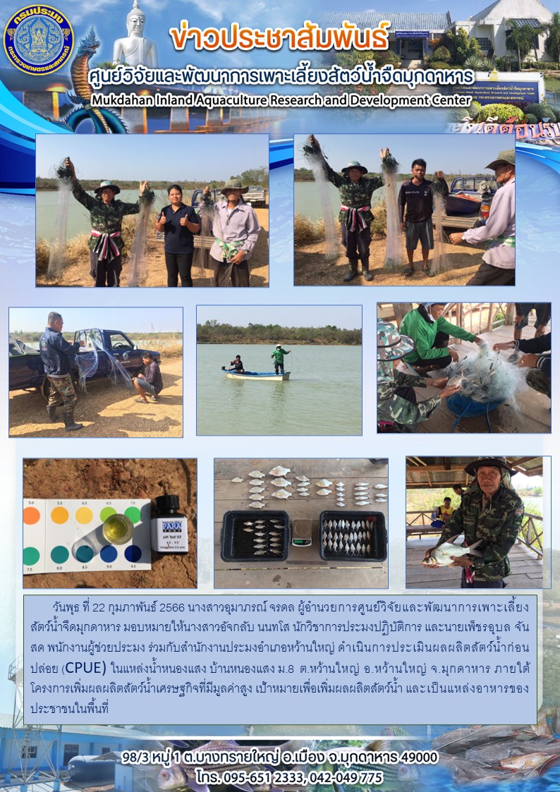 วันพุธ ที่ 22 กุมภาพันธ์ 2566ดำเนินการประเมินผลผลิตสัตว์น้ำก่อนปล่อย (CPUE) ในแหล่งน้ำหนองแสง บ้านหนองแสง ม.8  ต.หว้านใหญ่ อ.หว้านใหญ่ จ.มุกดาหาร..คลิก