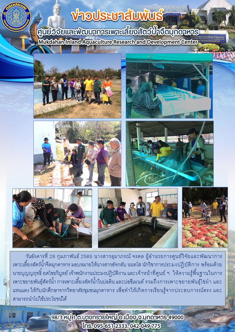 วันอังคารที่ 28 กุมภาพันธ์ 2565ให้ความรู้พื้นฐานในการเพาะขยายพันธุ์สัตว์น้ำ การเพาะเลี้ยงสัตว์น้ำในบ่อดิน และบ่อซีเมนต์ รวมถึงการเพาะขยายพันธุ์ไข่ผำ และแหนแดง ให้กับนักศึกษาจากวิทยาลัยชุมชนมุกดาหาร..คลิก