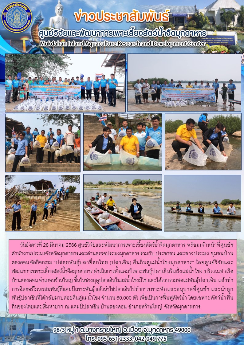 วันอังคารที่ 28 มีนาคม 2566 กิจกรรม “ปล่อยพันธุ์ปลายี่สกไทย (ปลาเอิน) คืนถิ่นสู่แม่น้ำโขงมุกดาหาร” บ้านสองคอน อำเภอหว้านใหญ่ จังหวัดมุกดาหการ..คลิก