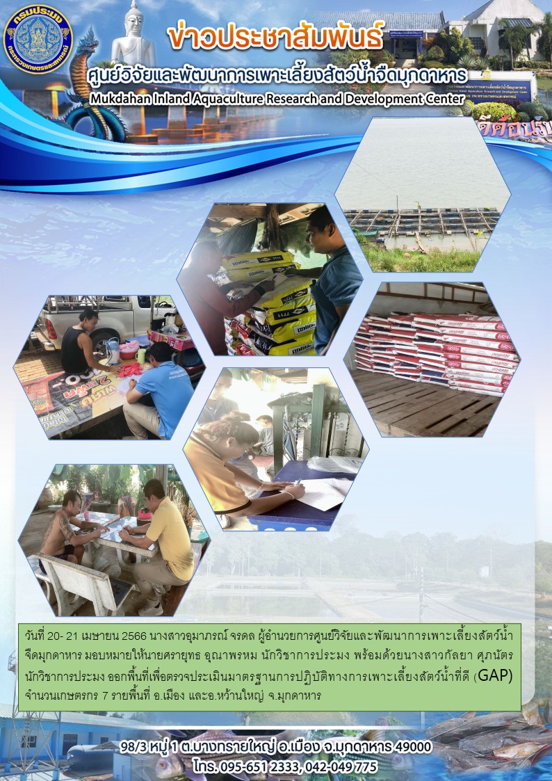 วันที่ 20- 21 เมษายน 2566 ออกพื้นที่เพื่อตรวจประเมินมาตรฐานการปฏิบัติทางการเพาะเลี้ยงสัตว์น้ำที่ดี (GAP) จำนวนเกษตรกร 7 รายพื้นที่ อ.เมือง และอ.หว้านใหญ่ จ.มุกดาหาร..คลิก