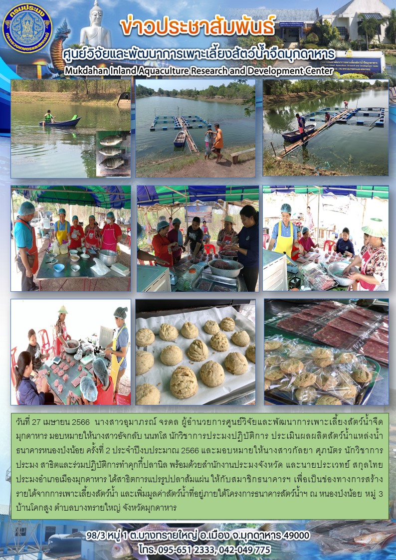 วันที่ 27 เมษายน 2566 ประเมินผลผลิตสัตว์น้ำแหล่งน้ำธนาคารหนองป่งน้อย ครั้งที่ 2 ประจำปีงบประมาณ 2566 และสาธิตการแปรรูปปลาส้มแผ่นและการทำคุกกี้ปลานิล..คลิก