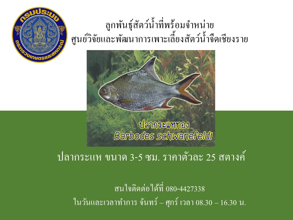 ข่าวประชาสัมพันธ์ประจำเดือนพฤษภาคม พ.ศ.2566 ฉบับที่ 14/2566..คลิก