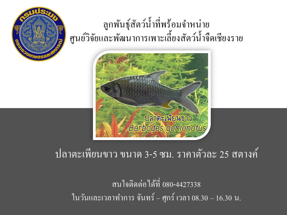 ข่าวประชาสัมพันธ์ประจำเดือนพฤษภาคม พ.ศ.2566 ฉบับที่ 14/2566