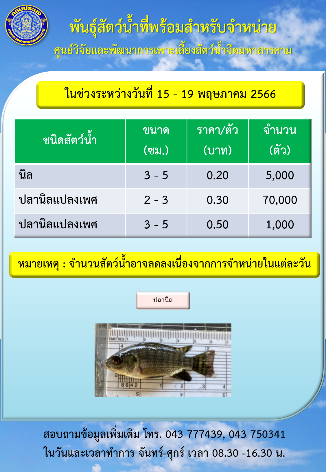 พันธุ์สัตว์น้ำที่พร้อมสำหรับจำหน่าย ระหว่างวันที่ 15 – 19 พฤษภาคม 2566..คลิก