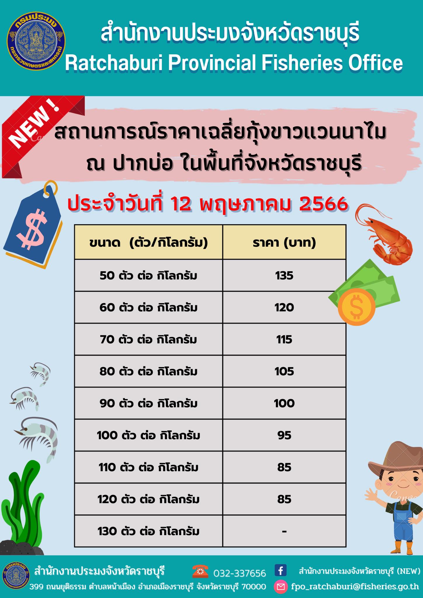 สถานการณ์ราคาเฉลี่ยกุ้งขาวแวนนาไม ณ ปากบ่อ ในพื้นที่จังหวัดราชบุรี ประจำวันที่ 12 พฤษภาคม 2566..คลิก