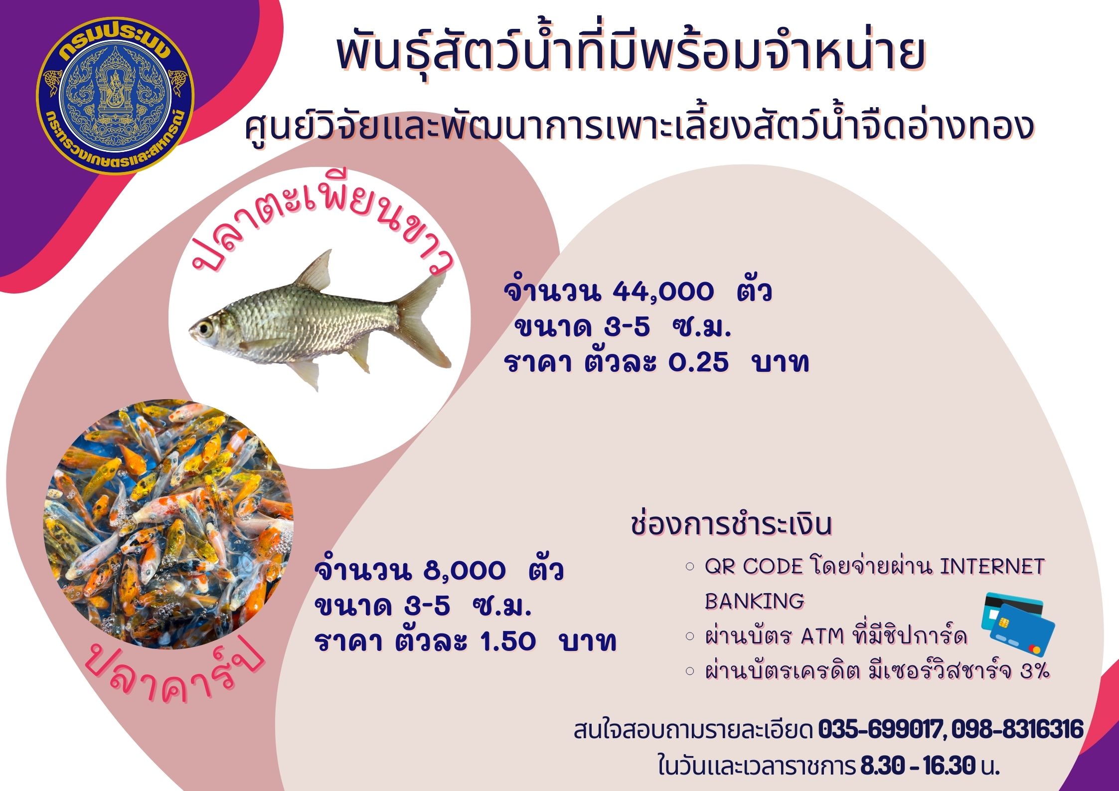 ประกาศ พันธุ์สัตว์น้ำที่มีพร้อมจำหน่าย..คลิก
