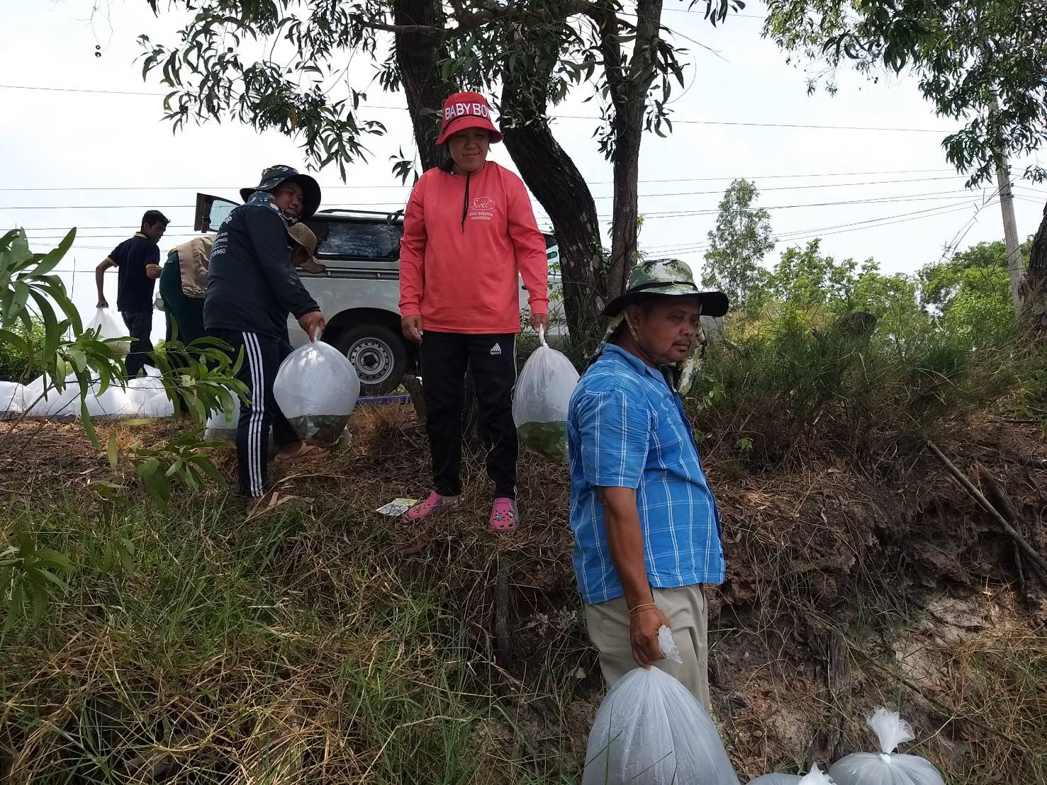 ดำเนินกิจกรรมปล่อยพันธุ์สัตว์น้ำ(ปลานิล) และ ปลานวลจันทร์เทศ เพื่อเพิ่มผลผลิตสัตว์น้ำในแหล่งน้ำชุมชนเป้าหมายโครงการธนาคารสินค้าเกษตร