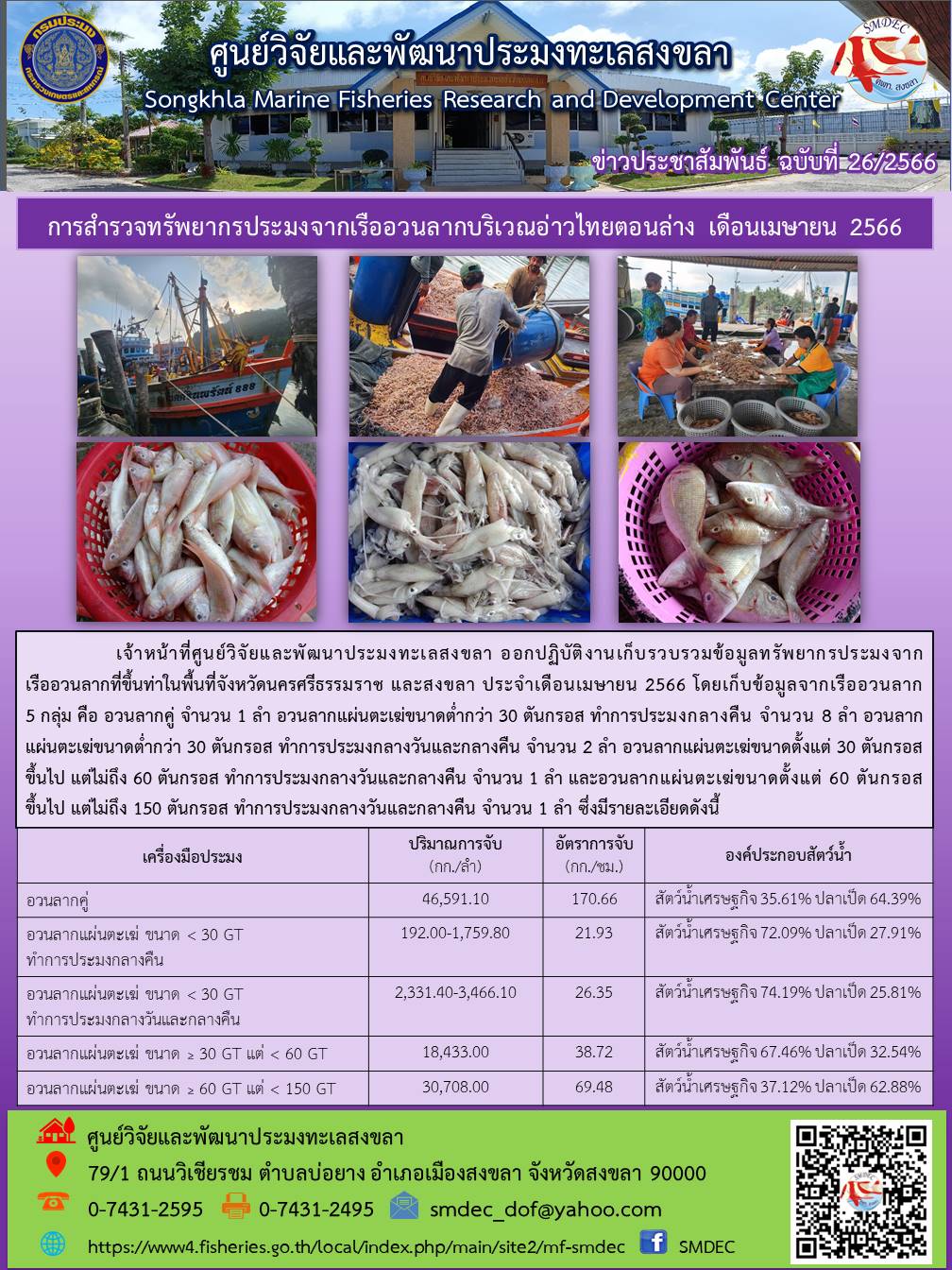 เจ้าหน้าที่ศูนย์วิจัยและพัฒนาประมงทะเลสงขลา ออกปฏิบัติงานเก็บรวบรวมข้อมูลทรัพยากรประมงจากเรืออวนลากที่ขึ้นท่าในพื้นที่จังหวัดนครศรีธรรมราช และสงขลา ประจำเดือนเมษายน 2566 โดยเก็บข้อมูลจากเรืออวนลาก 5 กลุ่ม คือ อวนลากคู่ จำนวน 1 ลำ อวนลากแผ่นตะเฆ่ขนาดต่ำกว่า 30 ตันกรอส ทำการประมงกลางคืน จำนวน 8 ลำ อวนลากแผ่นตะเฆ่ขนาดต่ำกว่า 30 ตันกรอส ทำการประมงกลางวันและกลางคืน จำนวน 2 ลำ อวนลากแผ่นตะเฆ่ขนาดตั้งแต่ 30 ตันกรอสขึ้นไป แต่ไม่ถึง 60 ตันกรอส ทำการประมงกลางวันและกลางคืน จำนวน 1 ลำ และอวนลากแผ่นตะเฆ่ขนาดตั้งแต่ 60 ตันกรอส ขึ้นไป แต่ไม่ถึง 150 ตันกรอส ทำการประมงกลางวันและกลางคืน จำนวน 1 ลำ ซึ่งมีรายละเอียดดังนี้..คลิก