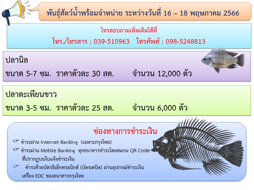 ประชาสัมพันธ์พันธุ์สัตว์น้ำพร้อมจำหน่าย ระหว่างวันที่ 16-18 พฤษภาคม 2566 (เว้นวันหยุดนักขัตฤกษ์ วันที่ 17 พฤษภาคม 2566)..คลิก