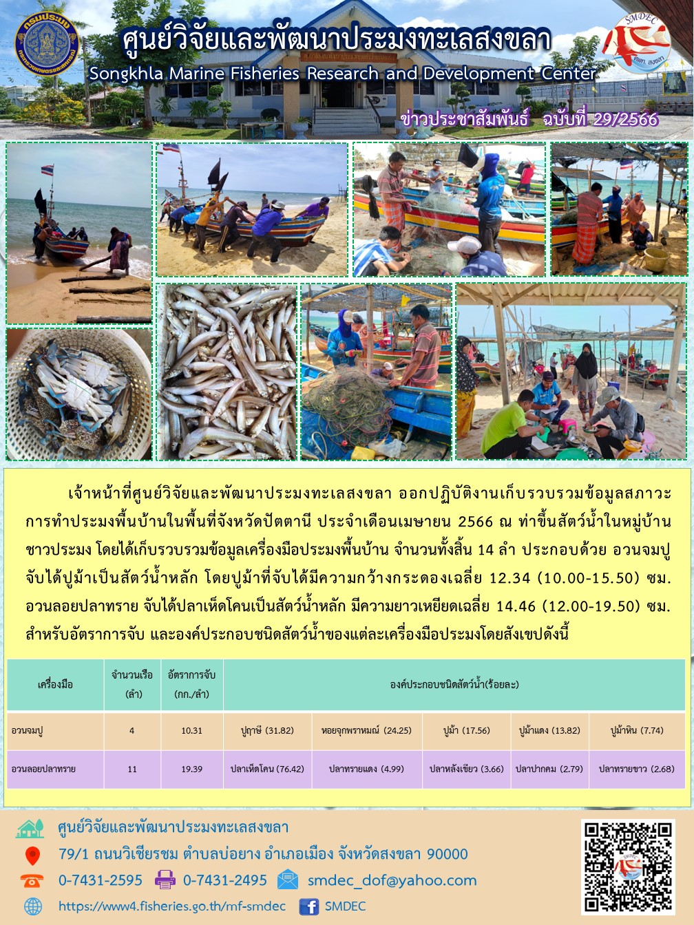 เจ้าหน้าที่ศูนย์วิจัยและพัฒนาประมงทะเลสงขลา ออกปฏิบัติงานเก็บรวบรวมข้อมูลสภาวะการทำประมงพื้นบ้านในพื้นที่จังหวัดปัตตานี ประจำเดือนเมษายน 2566 ณ ท่าขึ้นสัตว์น้ำในหมู่บ้านชาวประมง โดยได้เก็บรวบรวมข้อมูลเครื่องมือประมงพื้นบ้าน จำนวนทั้งสิ้น 14 ลำ ประกอบด้วย อวนจมปู จับได้ปูม้าเป็นสัตว์น้ำหลัก โดยปูม้าที่จับได้มีความกว้างกระดองเฉลี่ย 12.34 (10.00-15.50) ซม. อวนลอยปลาทราย จับได้ปลาเห็ดโคนเป็นสัตว์น้ำหลัก มความยาวเฉลี่ย 14.46 (12.00-19.50) ซม. สำหรับอัตราการจับ และองค์ประกอบชนิดของสัตว์น้ำของแต่ละเครื่องมือประมงโดยสังเขปดังนี้..คลิก