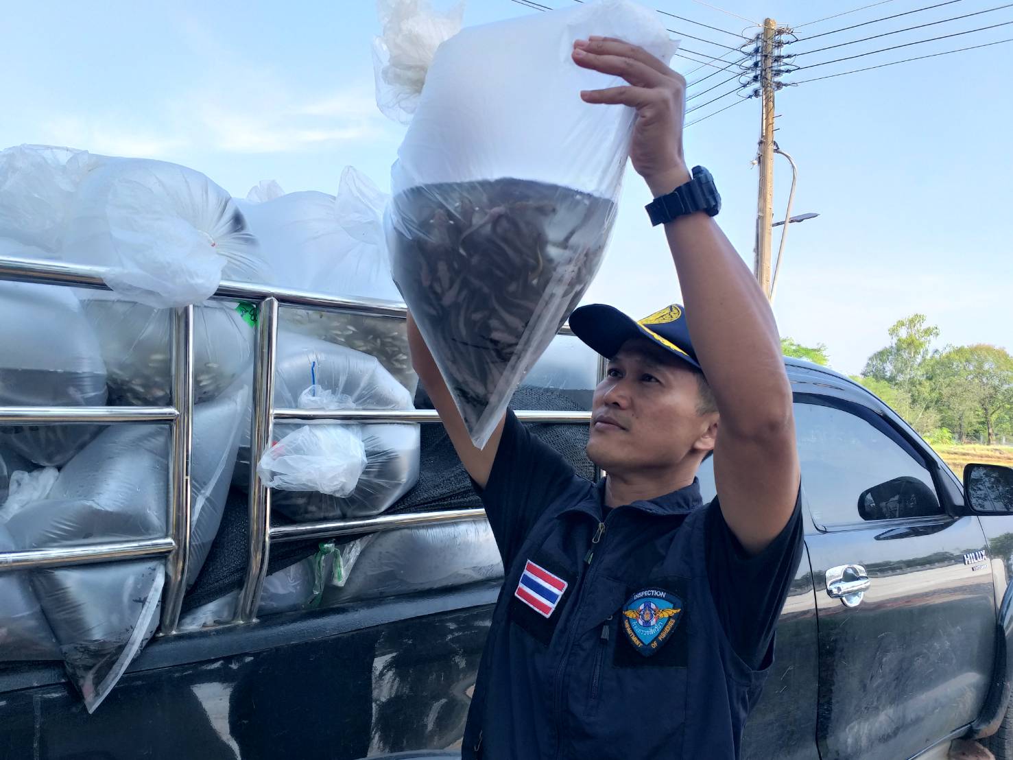 ตรวจสอบลูกพันธุ์สัตว์น้ำ ส่งออกไปยัง สปป.ลาว..คลิก